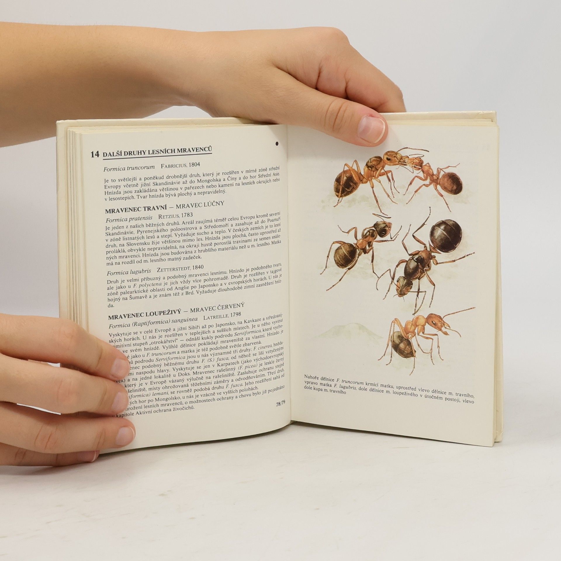 Autores varios Kapesní atlas chráněných a ohrožených živočichů 1