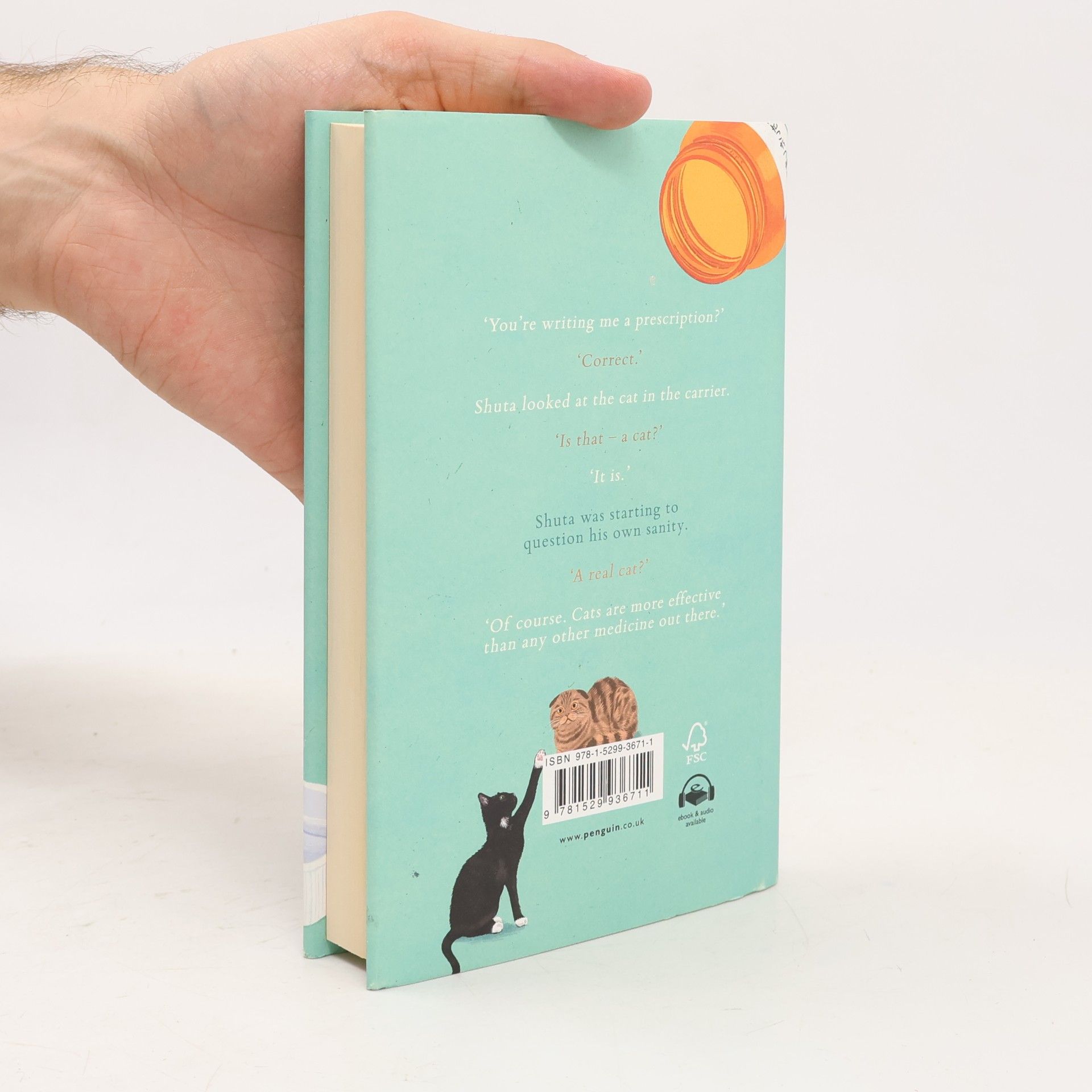 Syou Ishida We'll Prescribe You a Cat: The feel good Japanese bestselling book