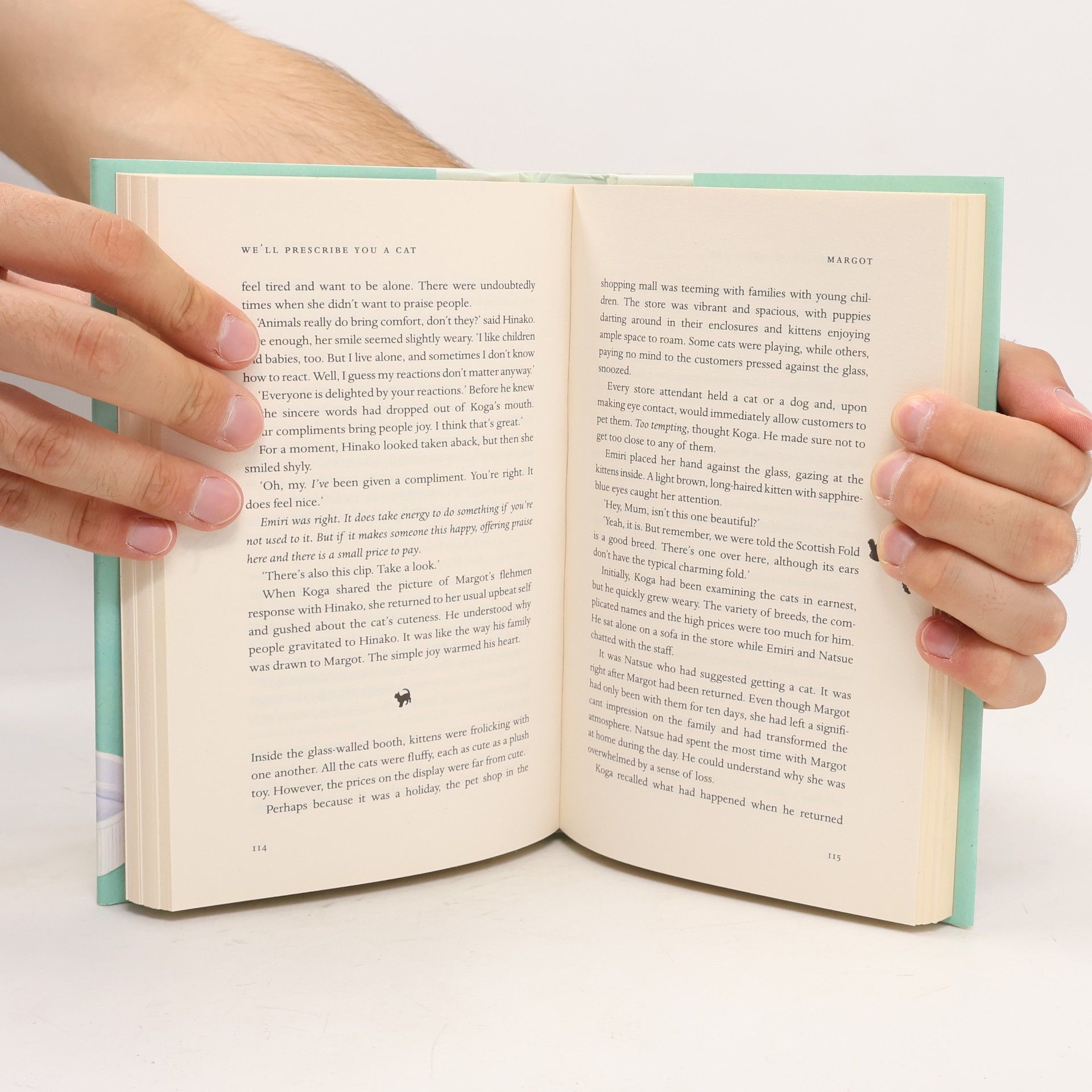 Syou Ishida We'll Prescribe You a Cat: The feel good Japanese bestselling book