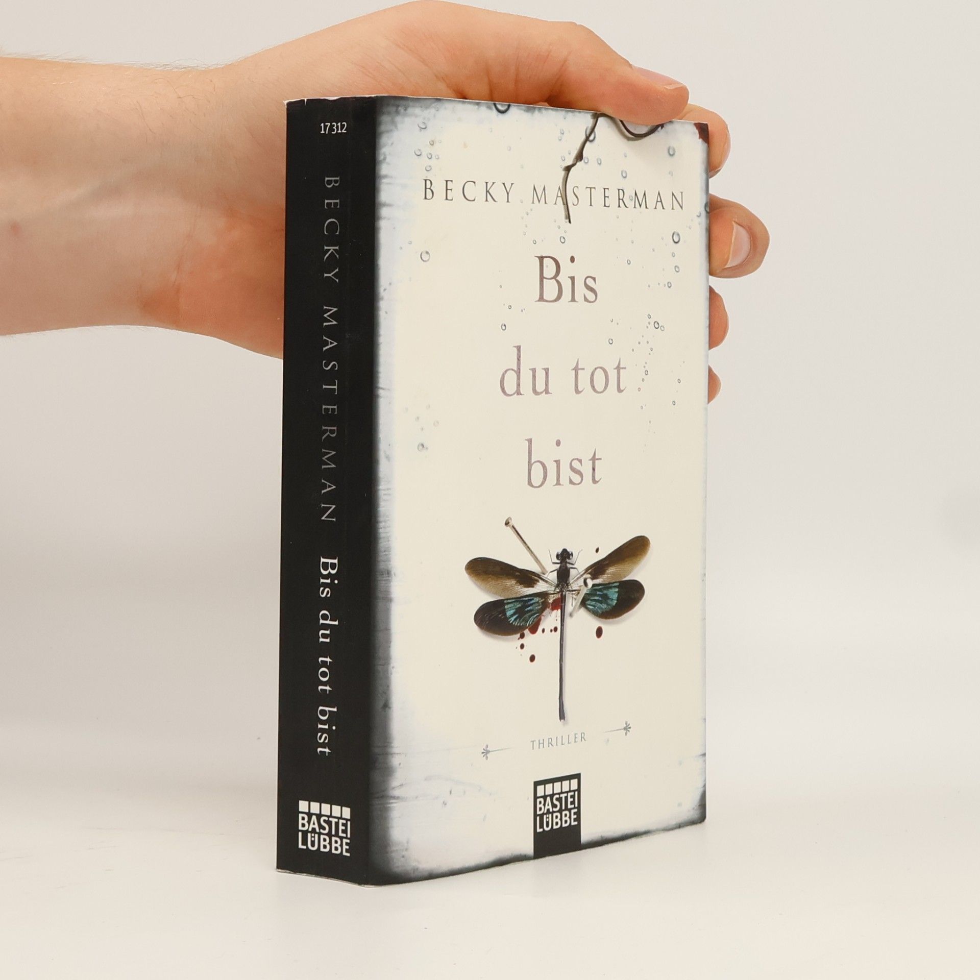 Becky Masterman Bis du tot bist