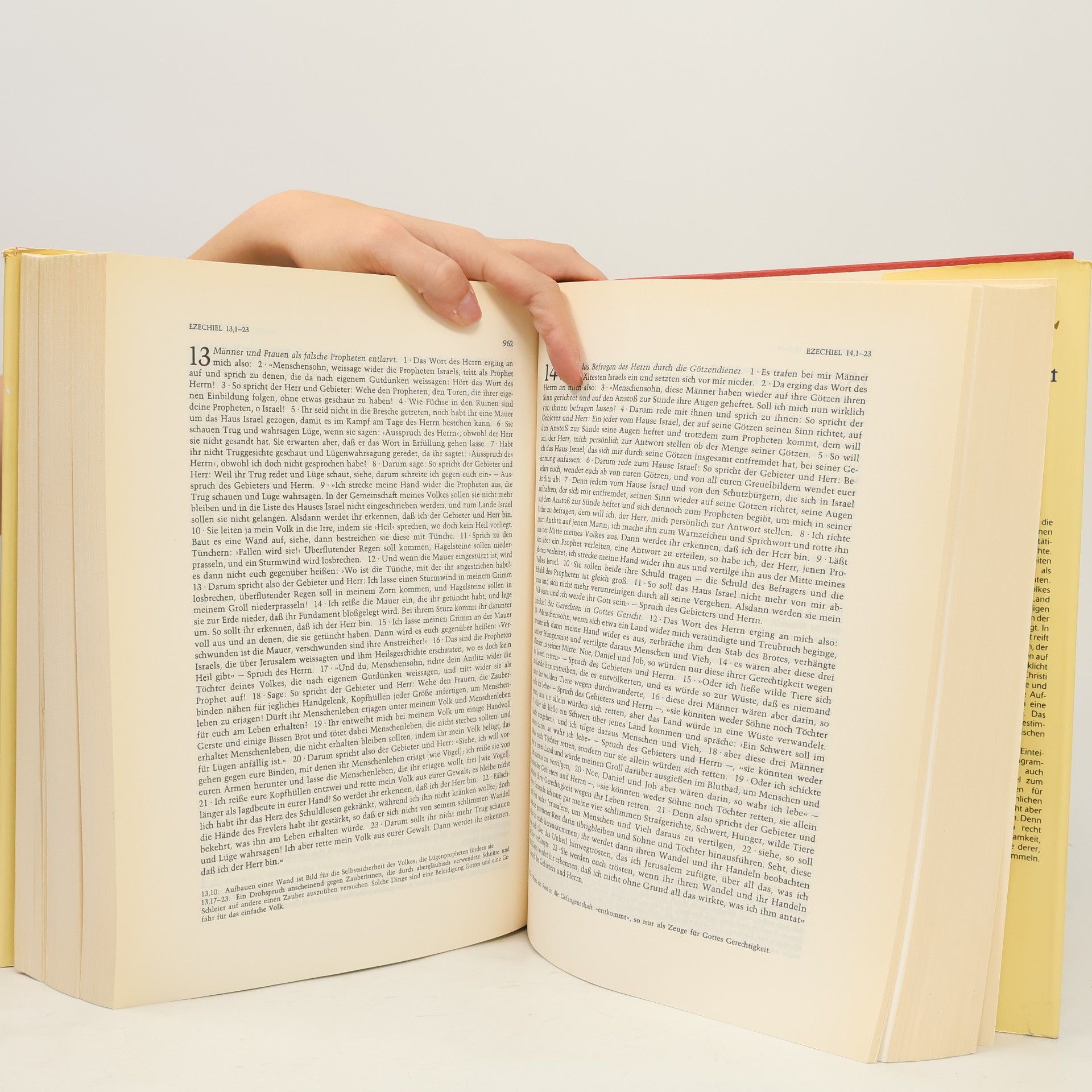 Various authors Die Bibel. Altes Und Neues Testament