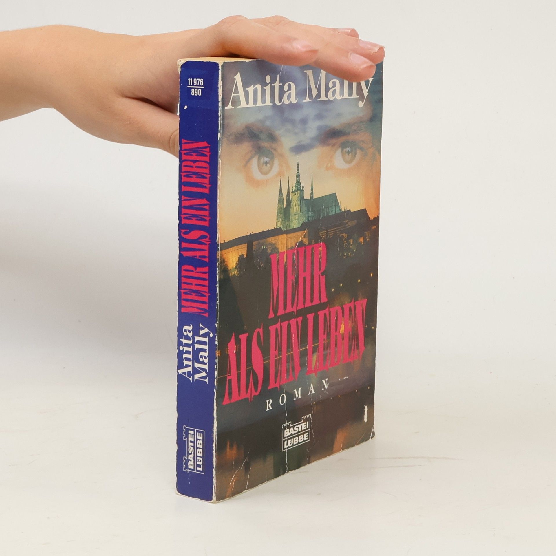 Anita Mally Mehr als ein Leben. Roman