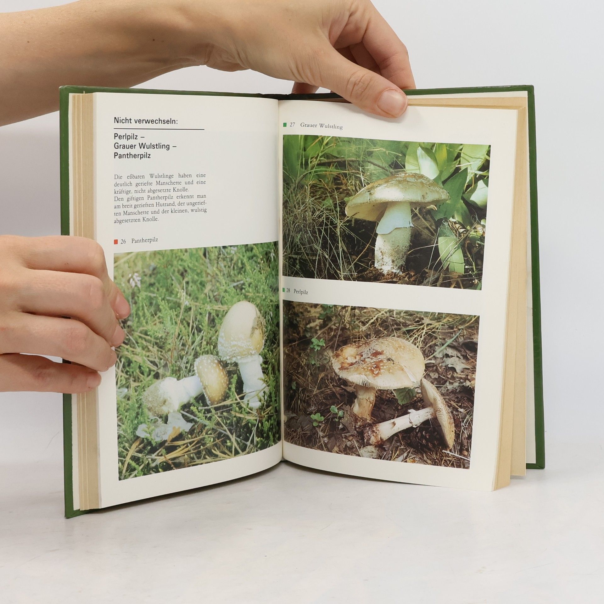 Maria Hallebach Kochbuch für Pilzsammler