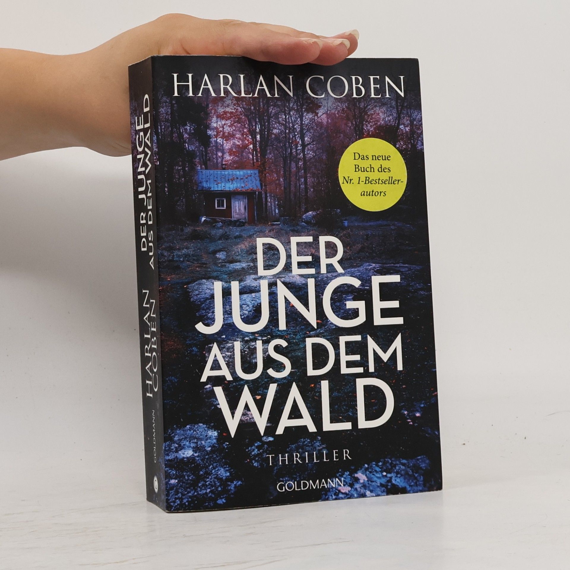 Harlan Coben Der Junge aus dem Wald