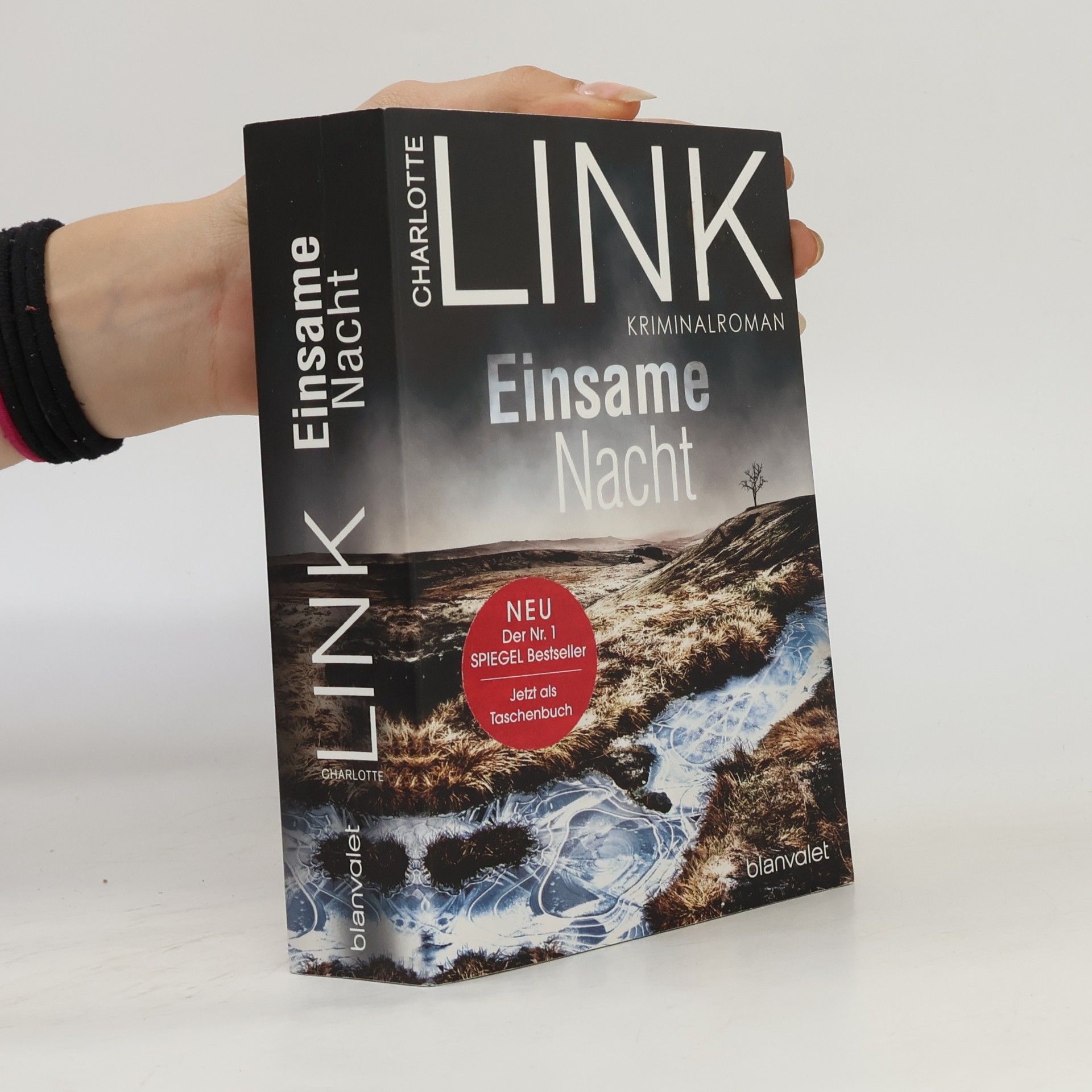 Charlotte Link Einsame Nacht