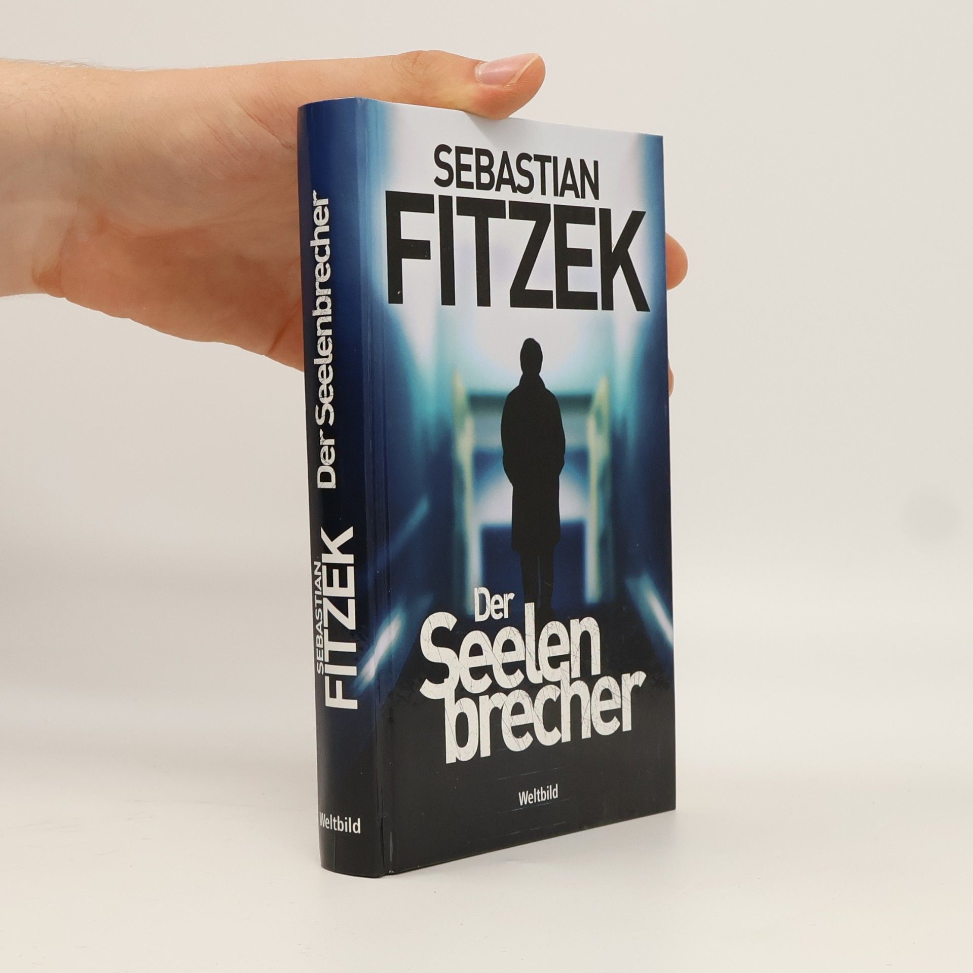 Sebastian Fitzek Der Seelenbrecher