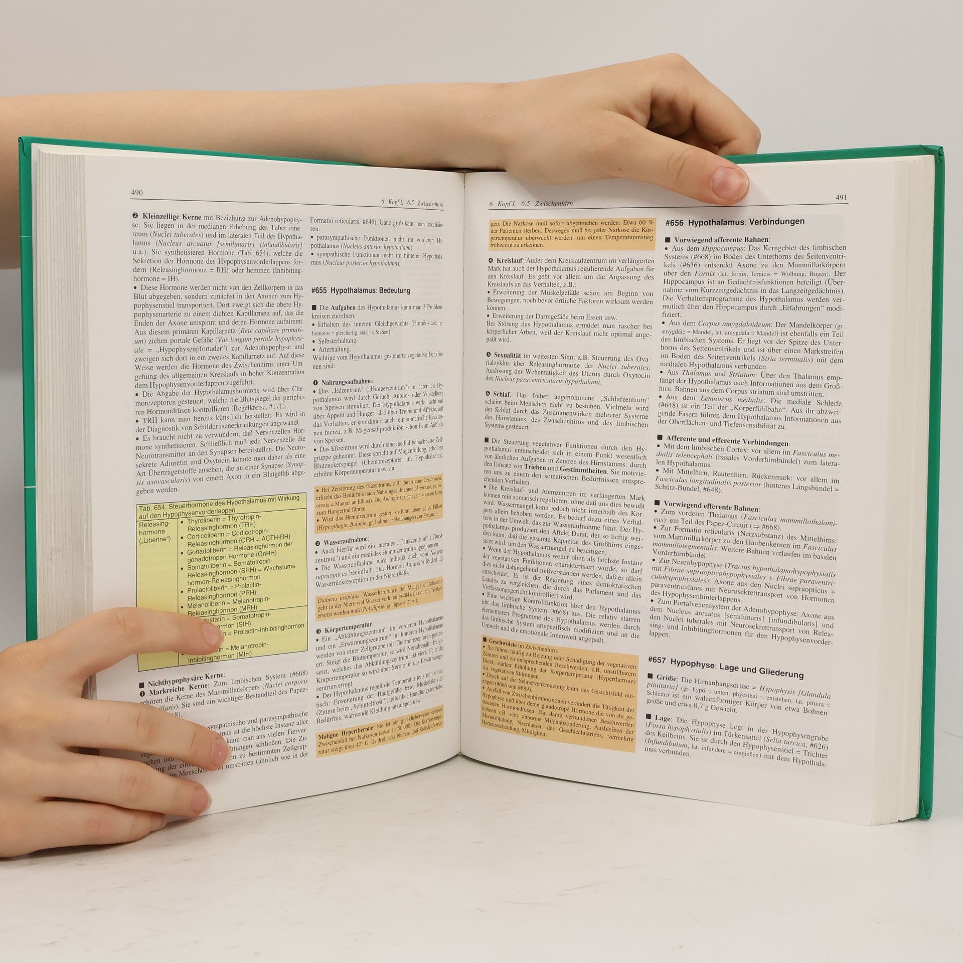 Herbert Lippert Lehrbuch Anatomie