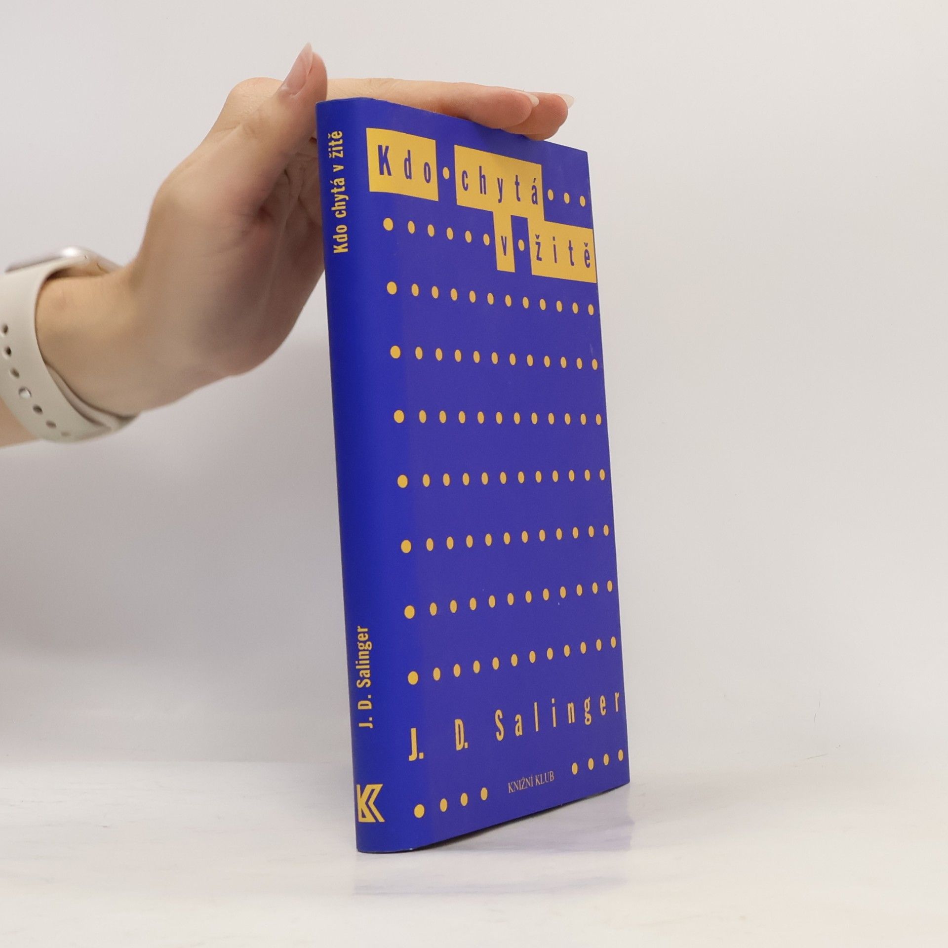 J. D. Salinger Kdo chytá v žitě