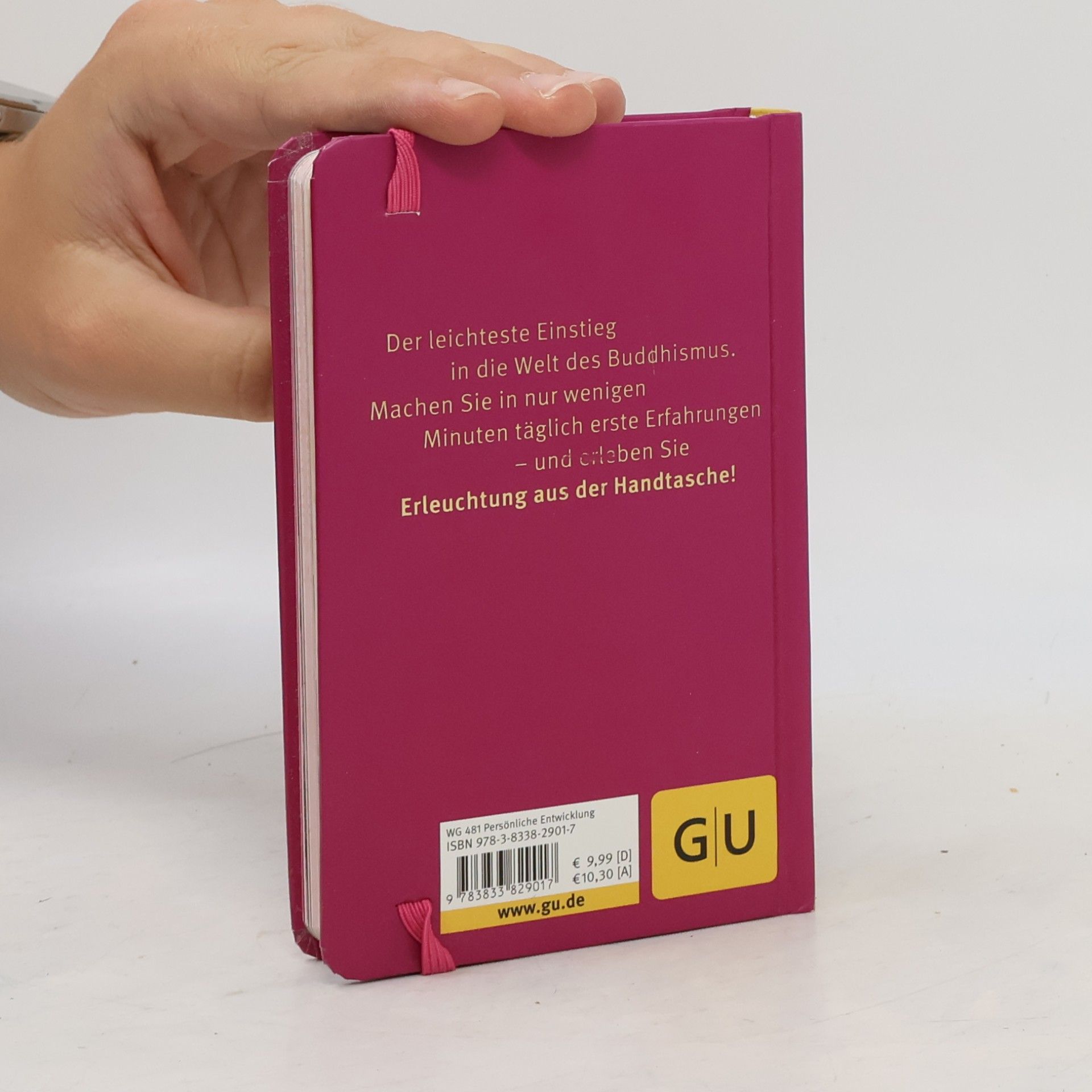Maren Schneider Der kleine Alltagsbuddhist