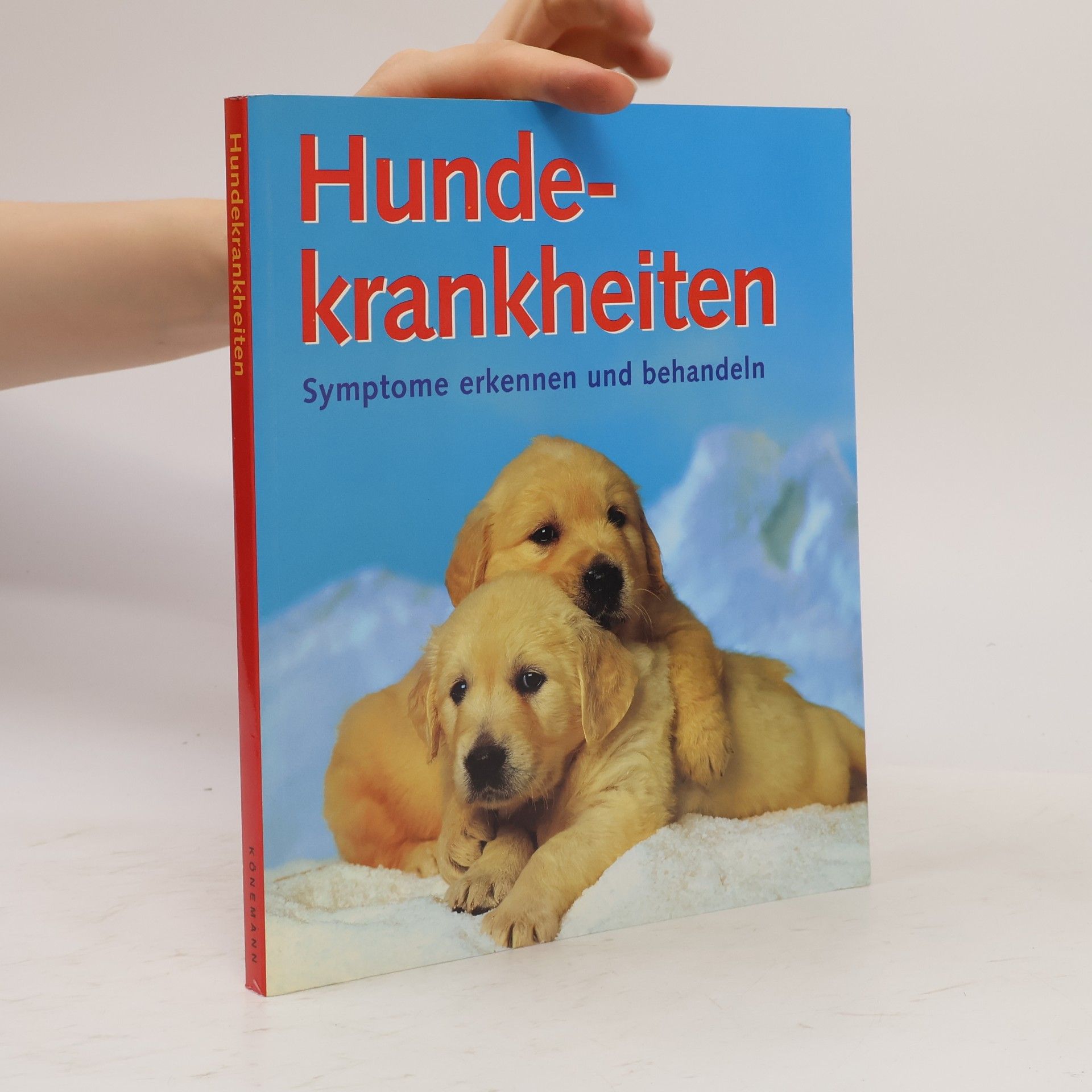 Hundekrankheiten