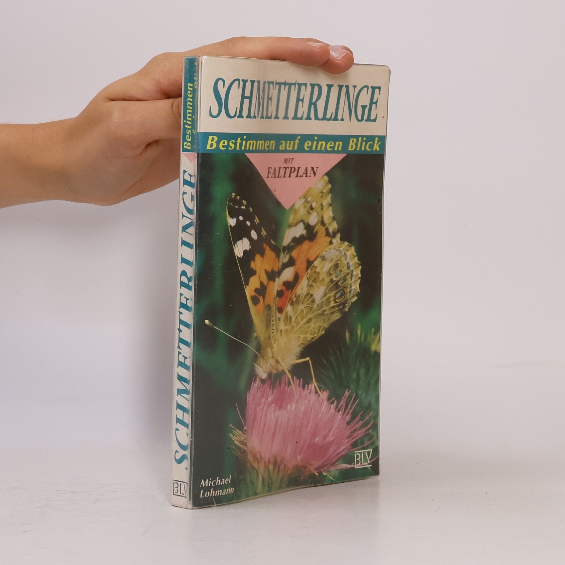 Michael Lohmann Schmetterlinge