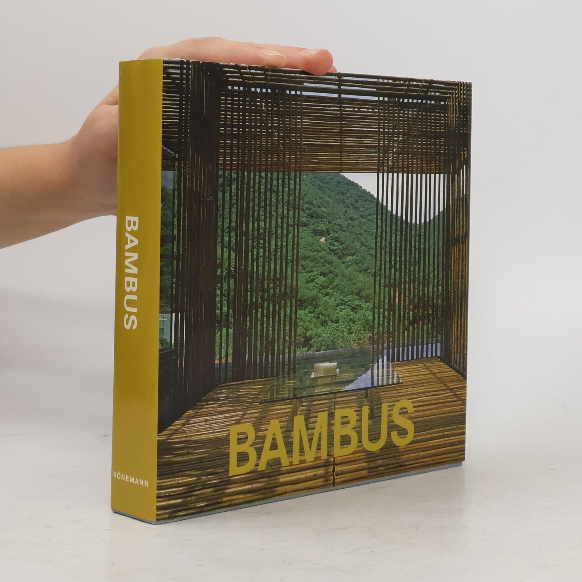 Àlex Sánchez Vidiella Bambus