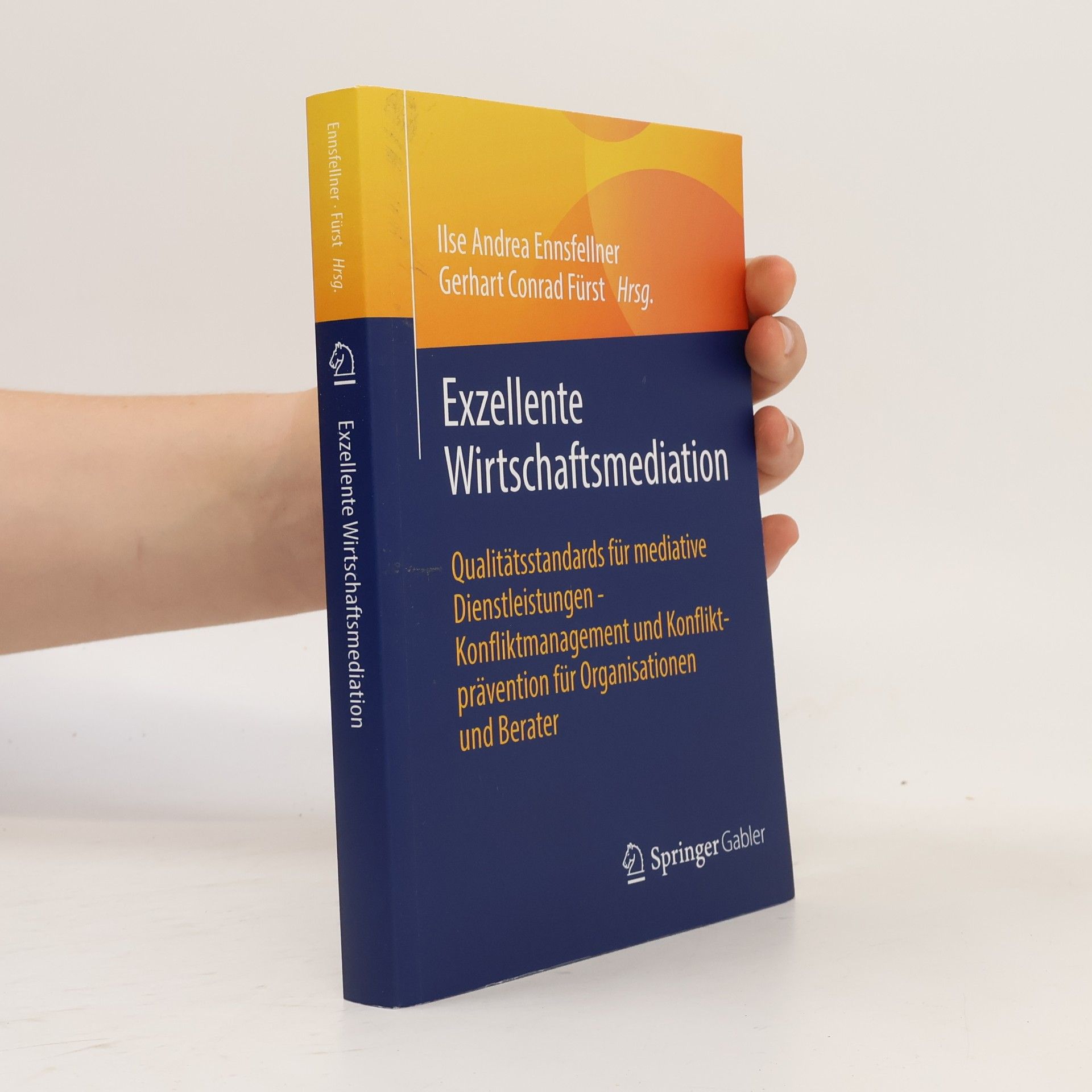 Ilse Andrea Ennsfellner Exzellente Wirtschaftsmediation