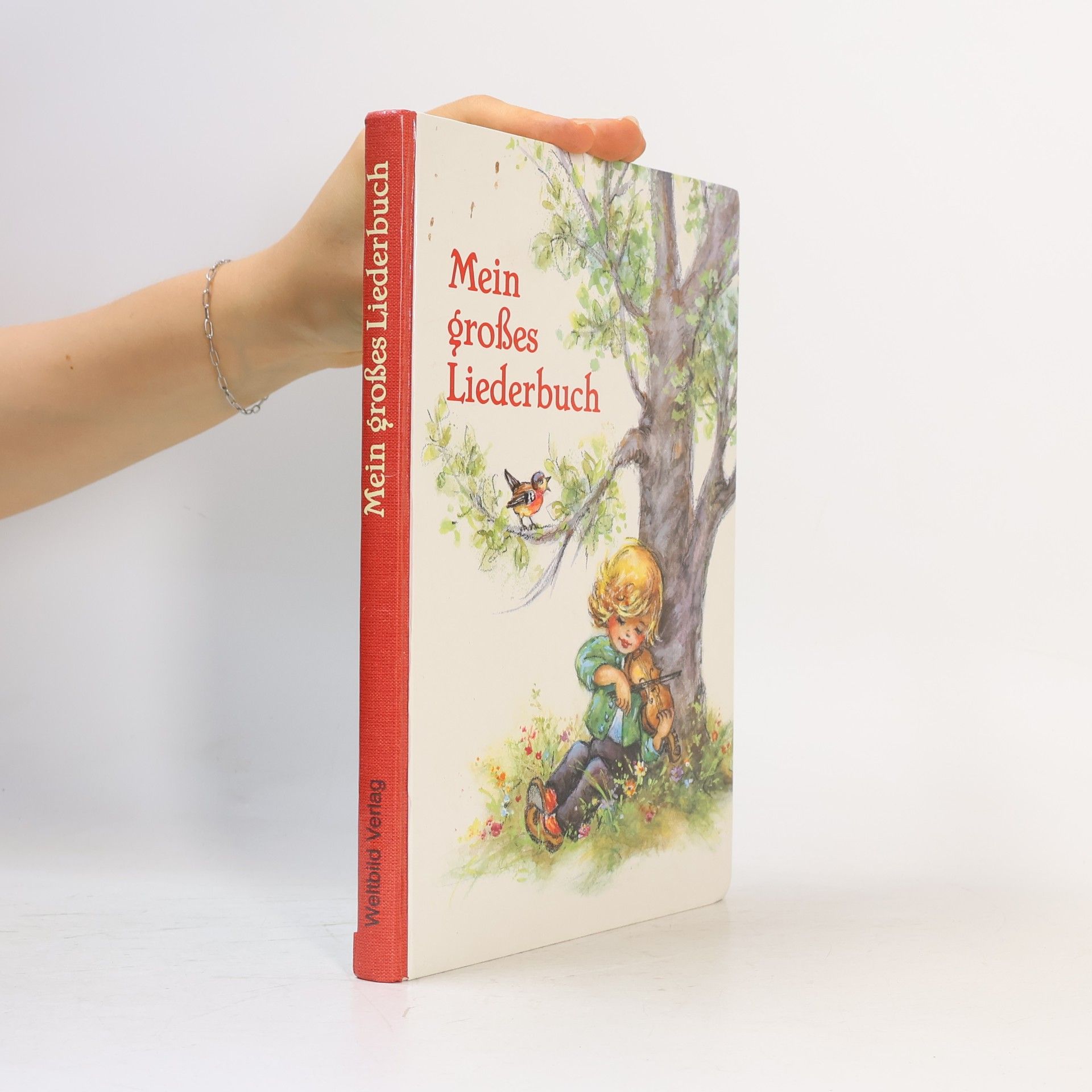 Lore Hummel Mein großes Liederbuch. Illustrationen Lore Hummel