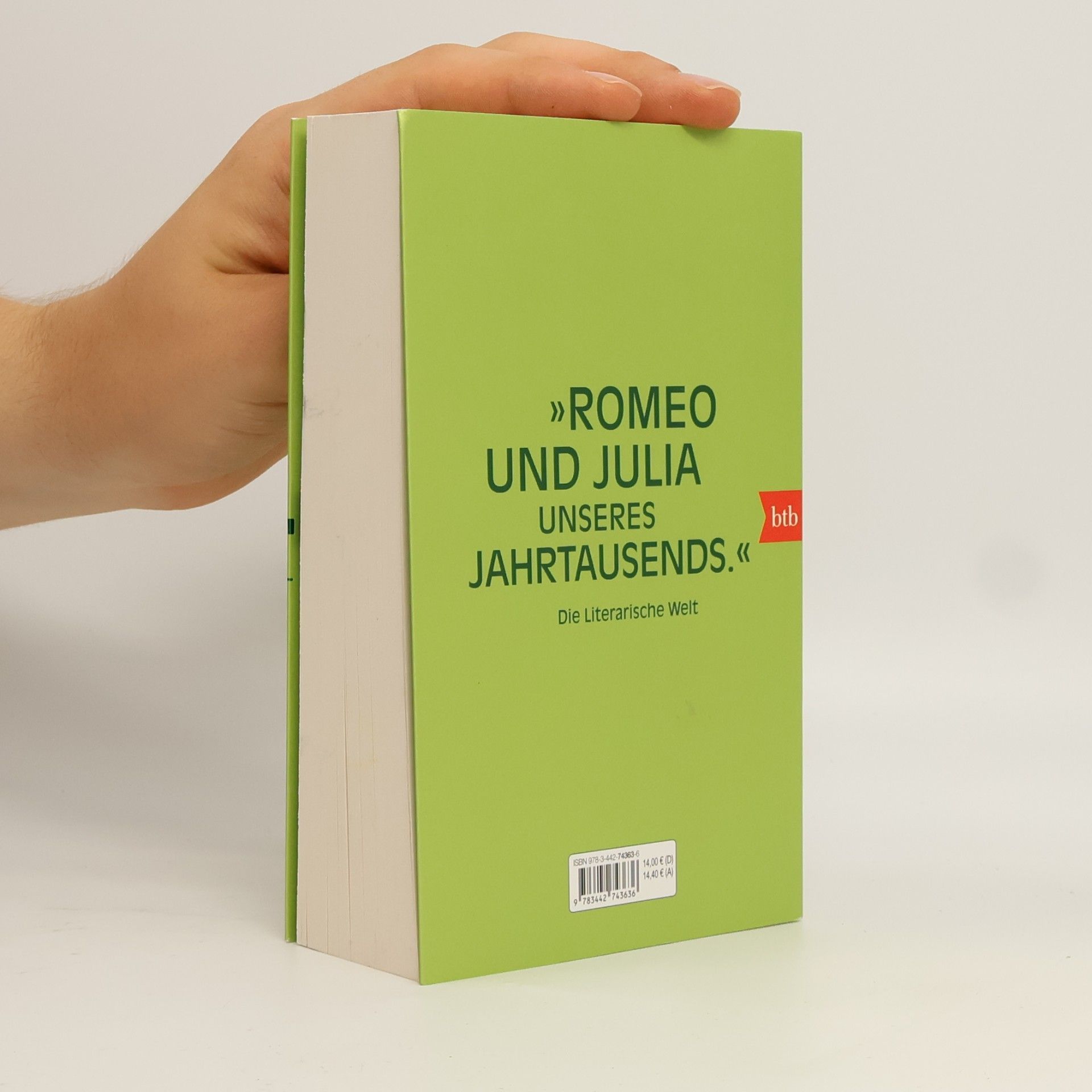 Haruki Murakami 1Q84. Buch 3