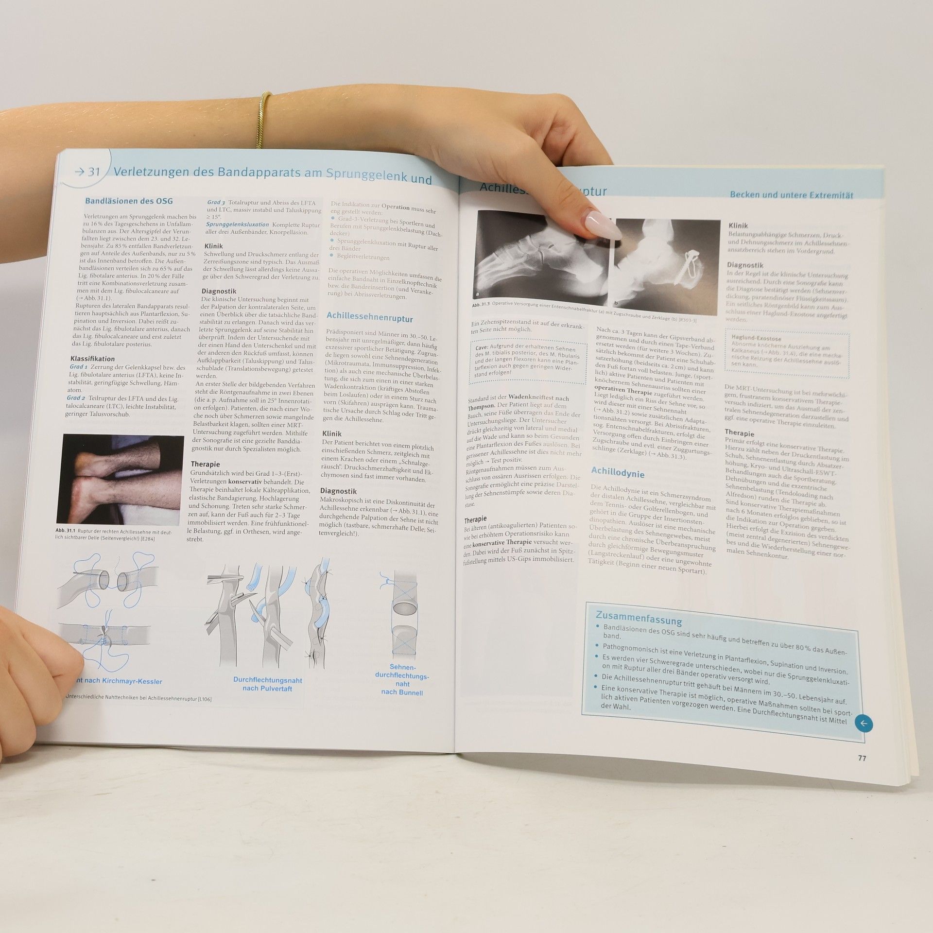 Andreas Ficklscherer BASICS Orthopädie und Unfallchirurgie