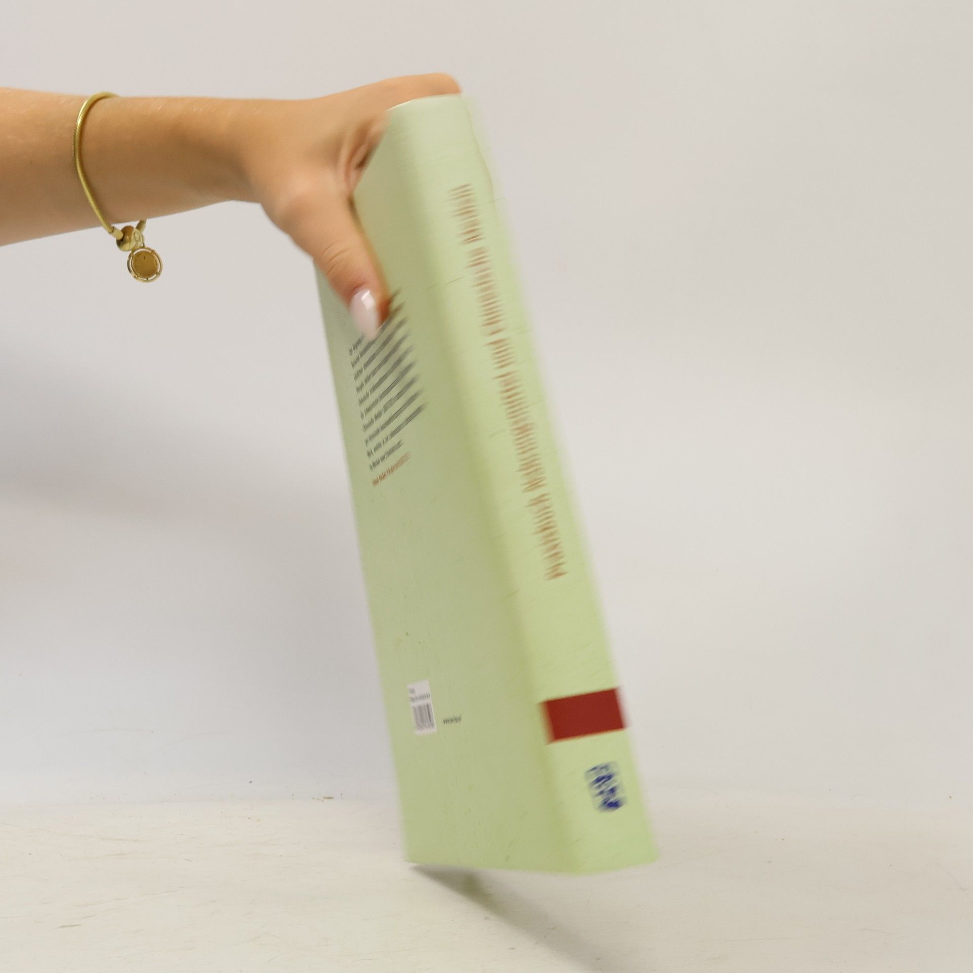 Kolektiv autorů Praxisbuch Nahrungsmittel und chinesische Medizin