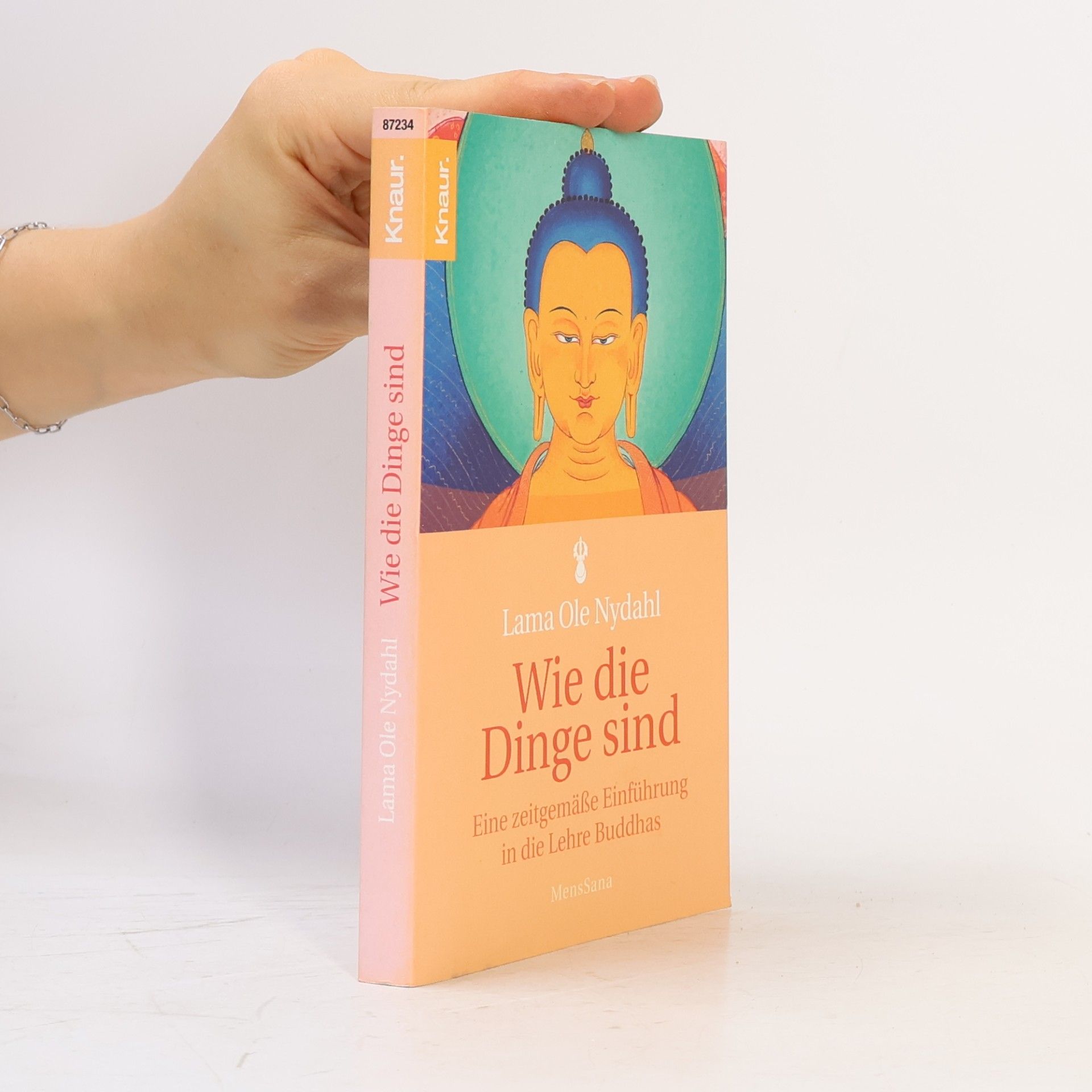 Lama Ole Nydahl Wie die Dinge sind