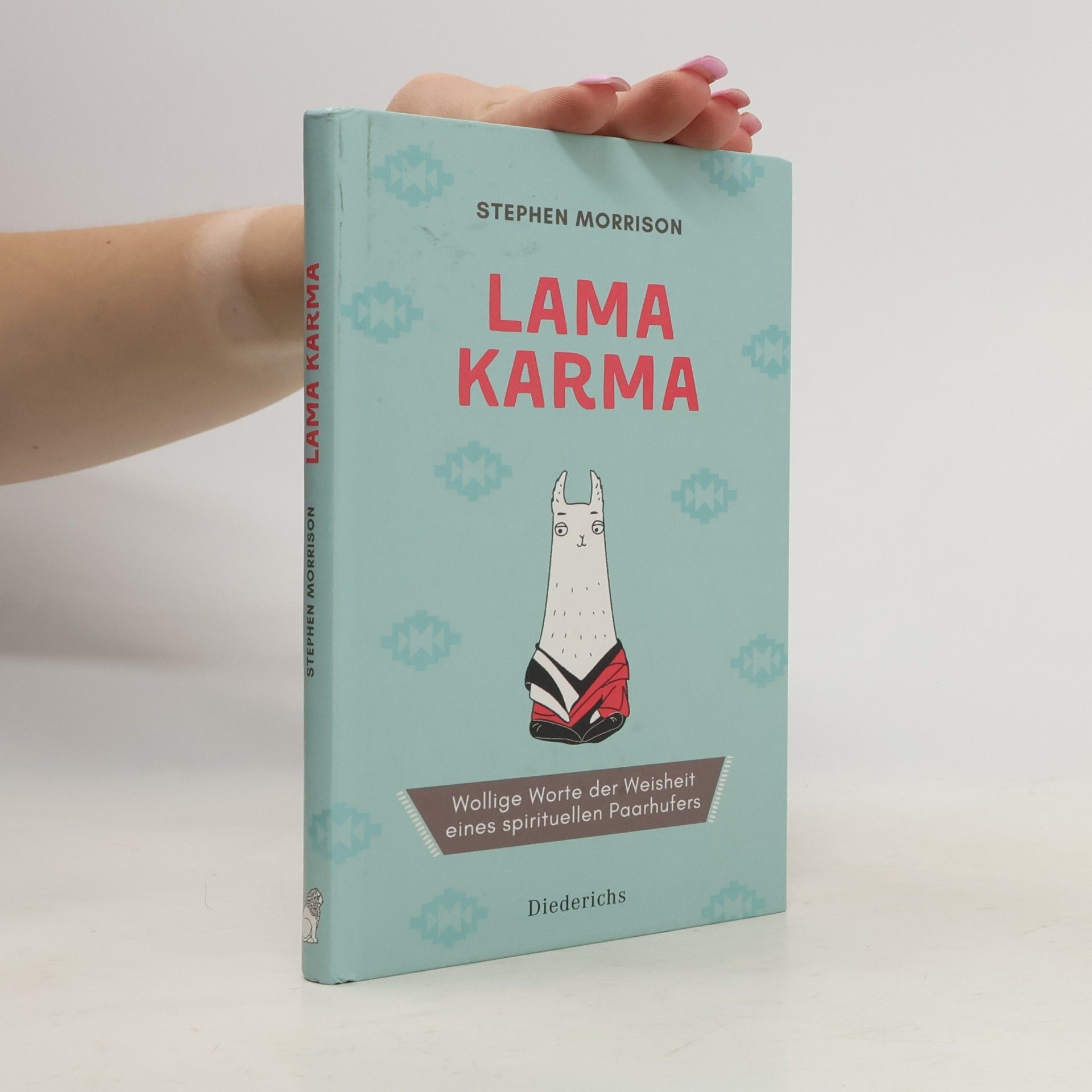 Stephen Morrison Lama Karma