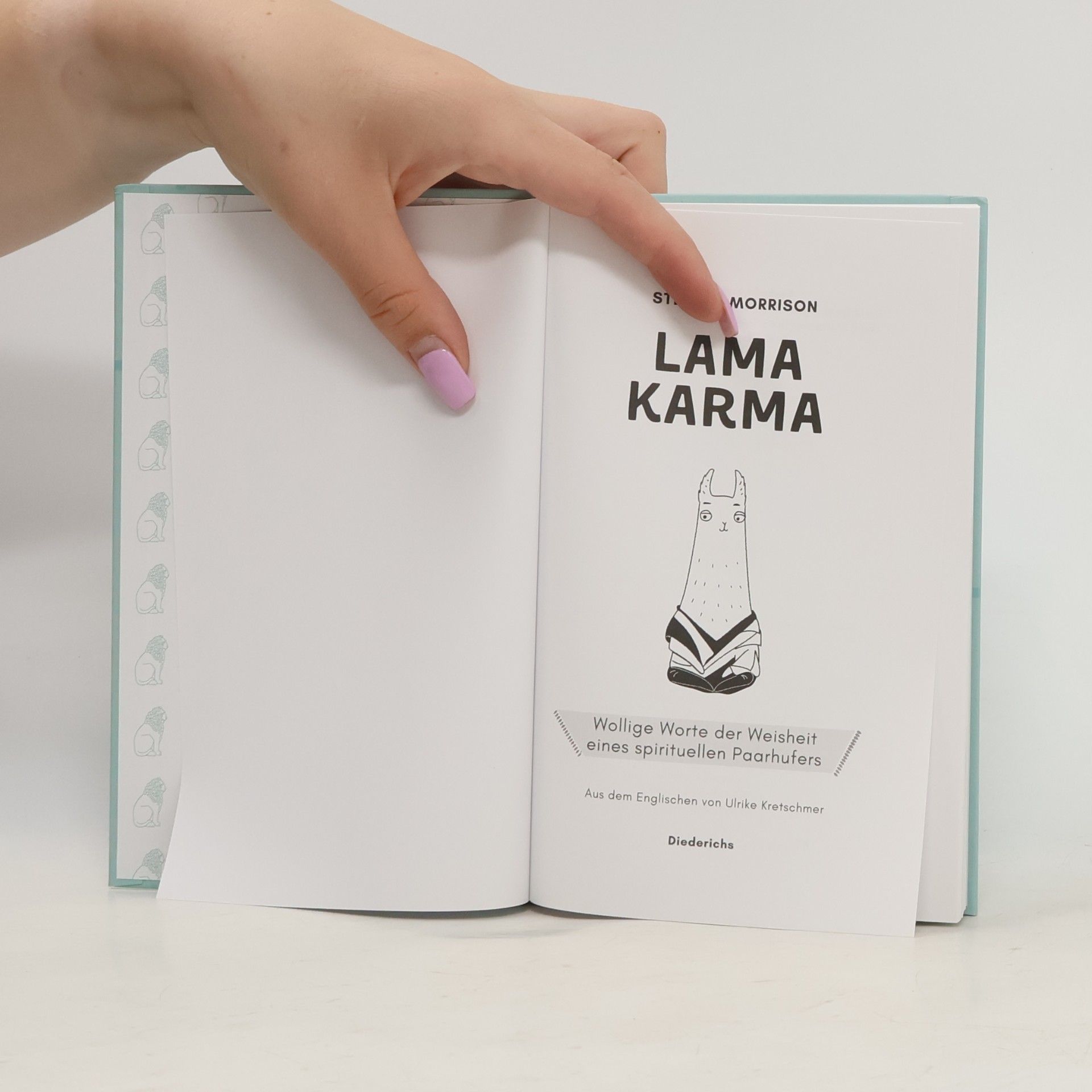 Stephen Morrison Lama Karma