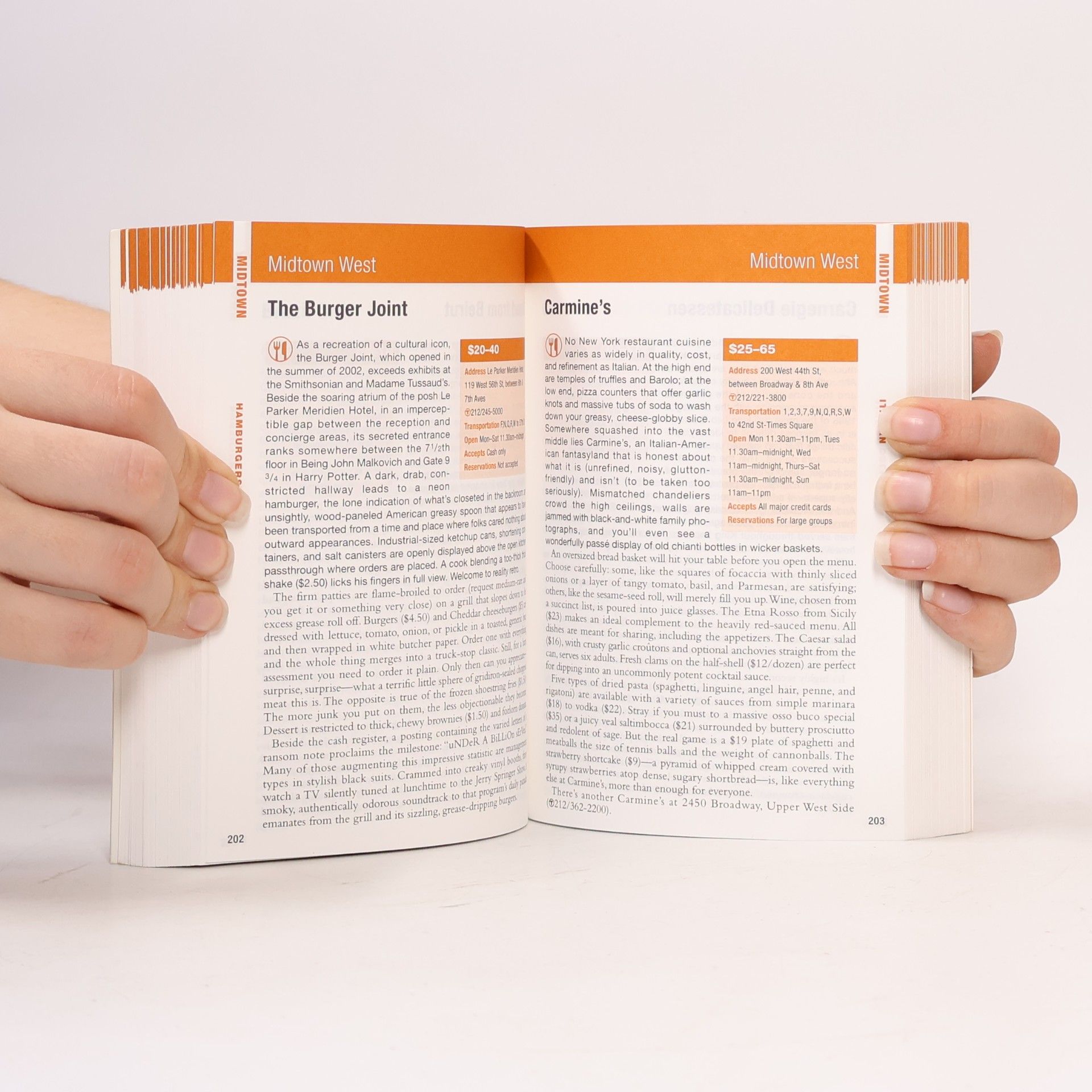Daniel Young The Rough Guide to New York City Restaurants