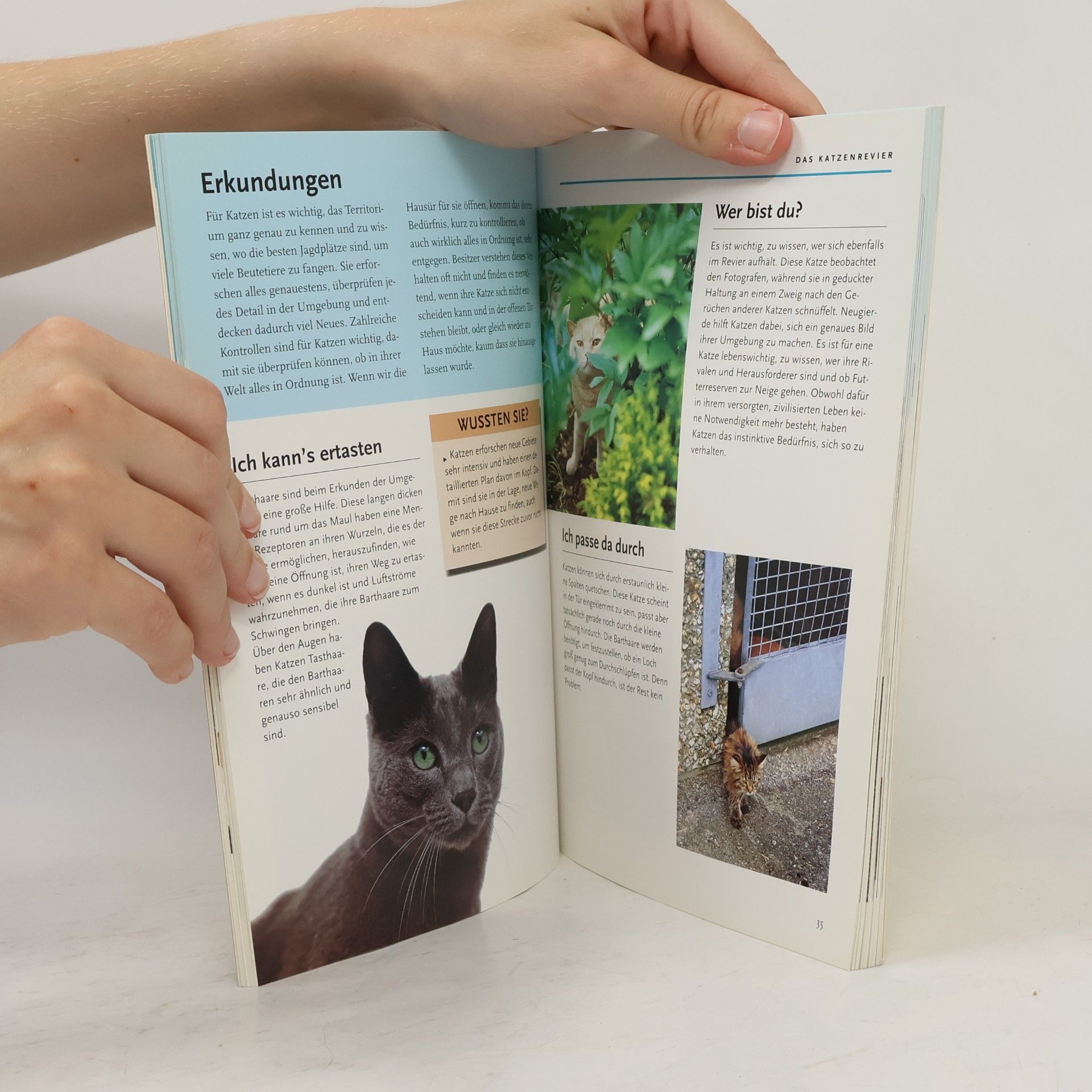 Gwen Bayley Was denkt meine Katze?