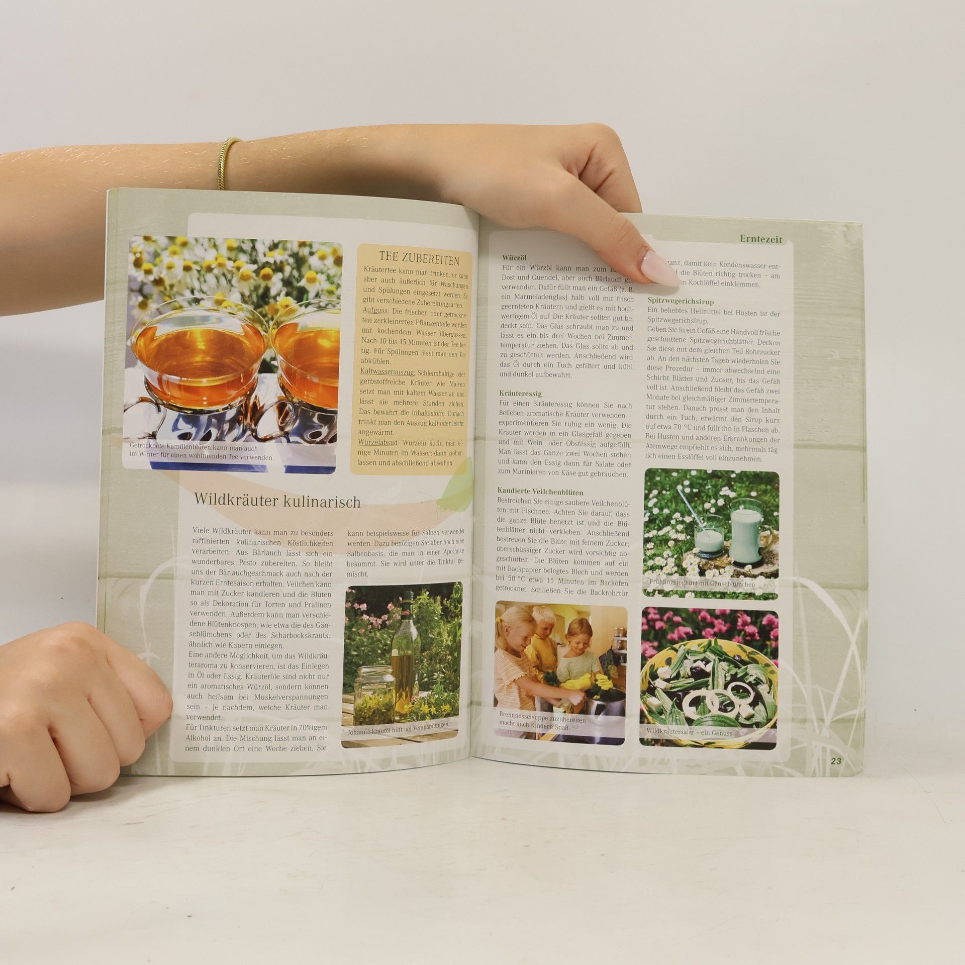 Andrea Thek Wildkräuter in Natur und Garten