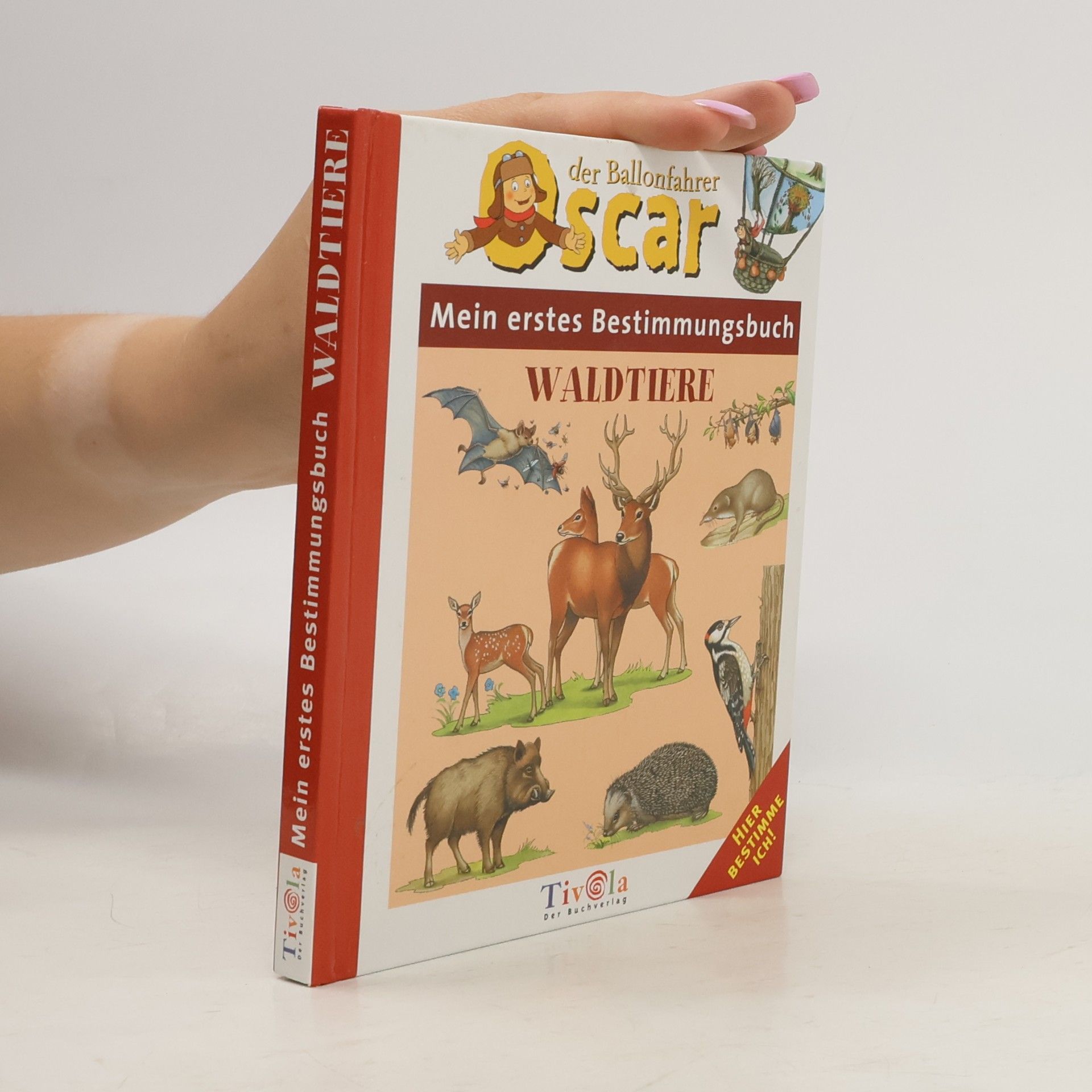 Kolektiv autorů Mein erstes Bestimmungsbuch - Waldtiere
