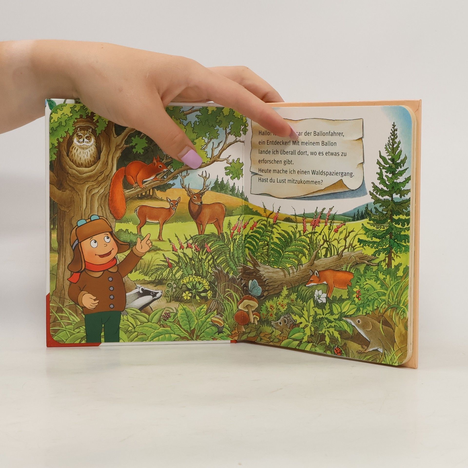 Mein erstes Bestimmungsbuch - Waldtiere