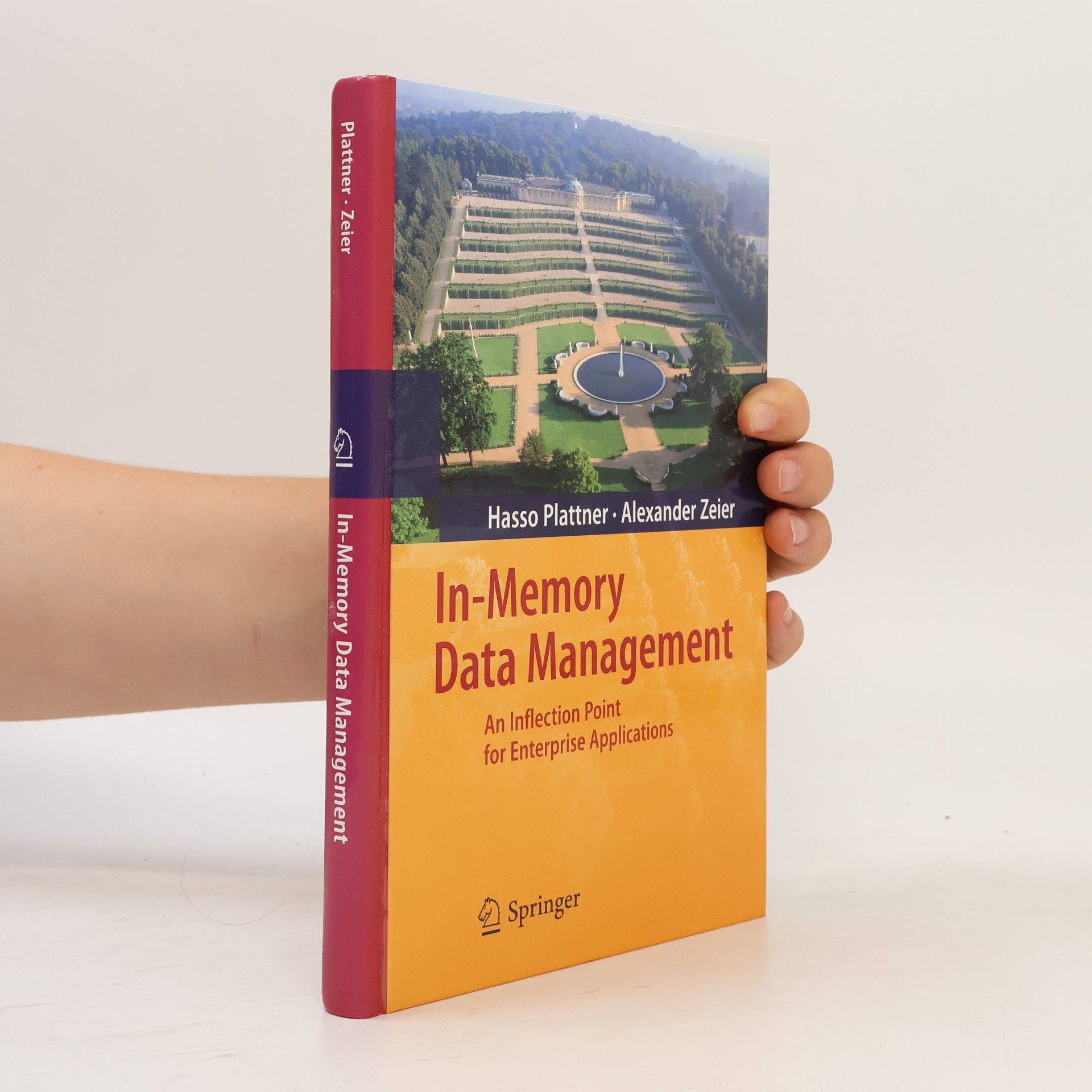 In-memory data management