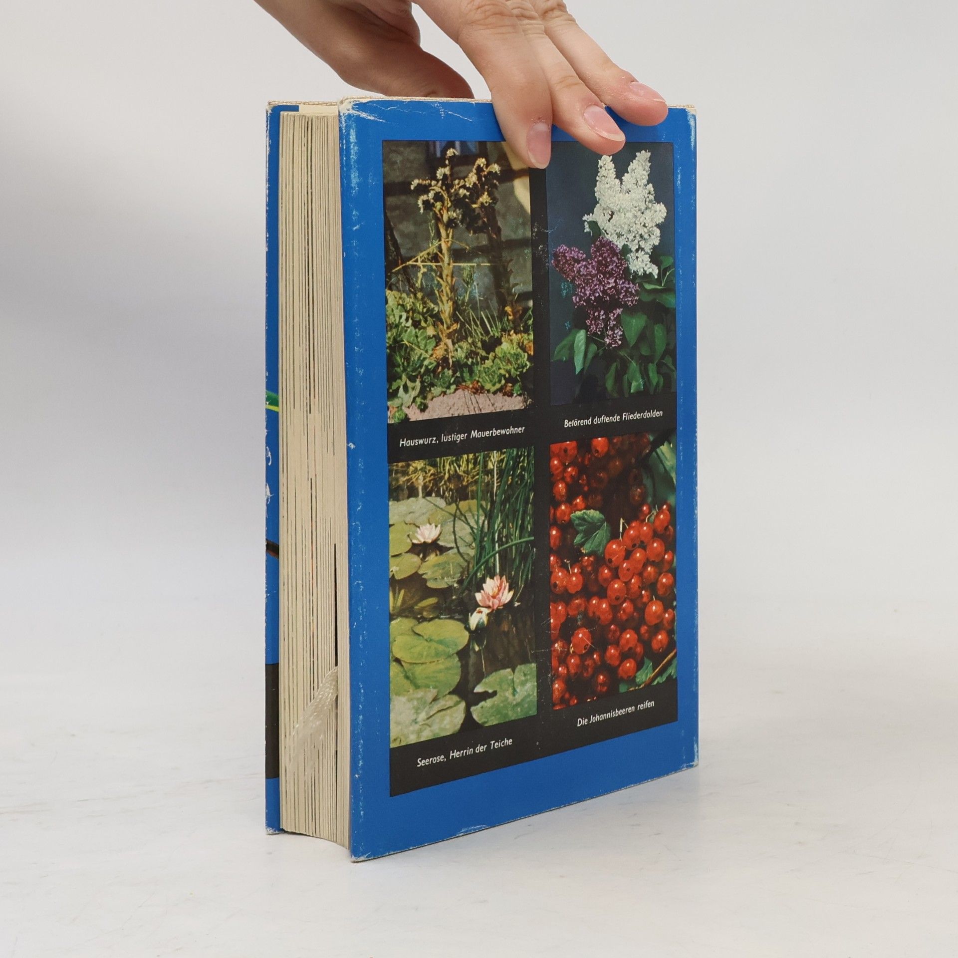Horst Koehler Das praktische Gartenbuch