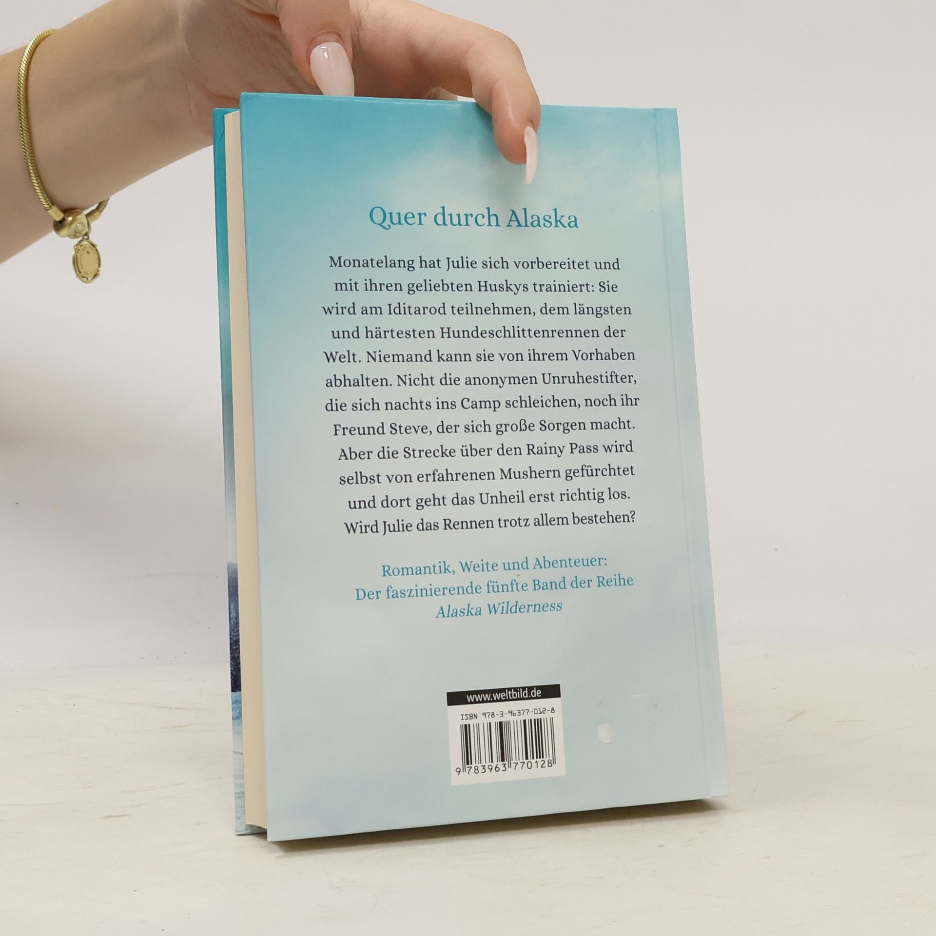 Christopher Ross Die Geister vom Rainy Pass