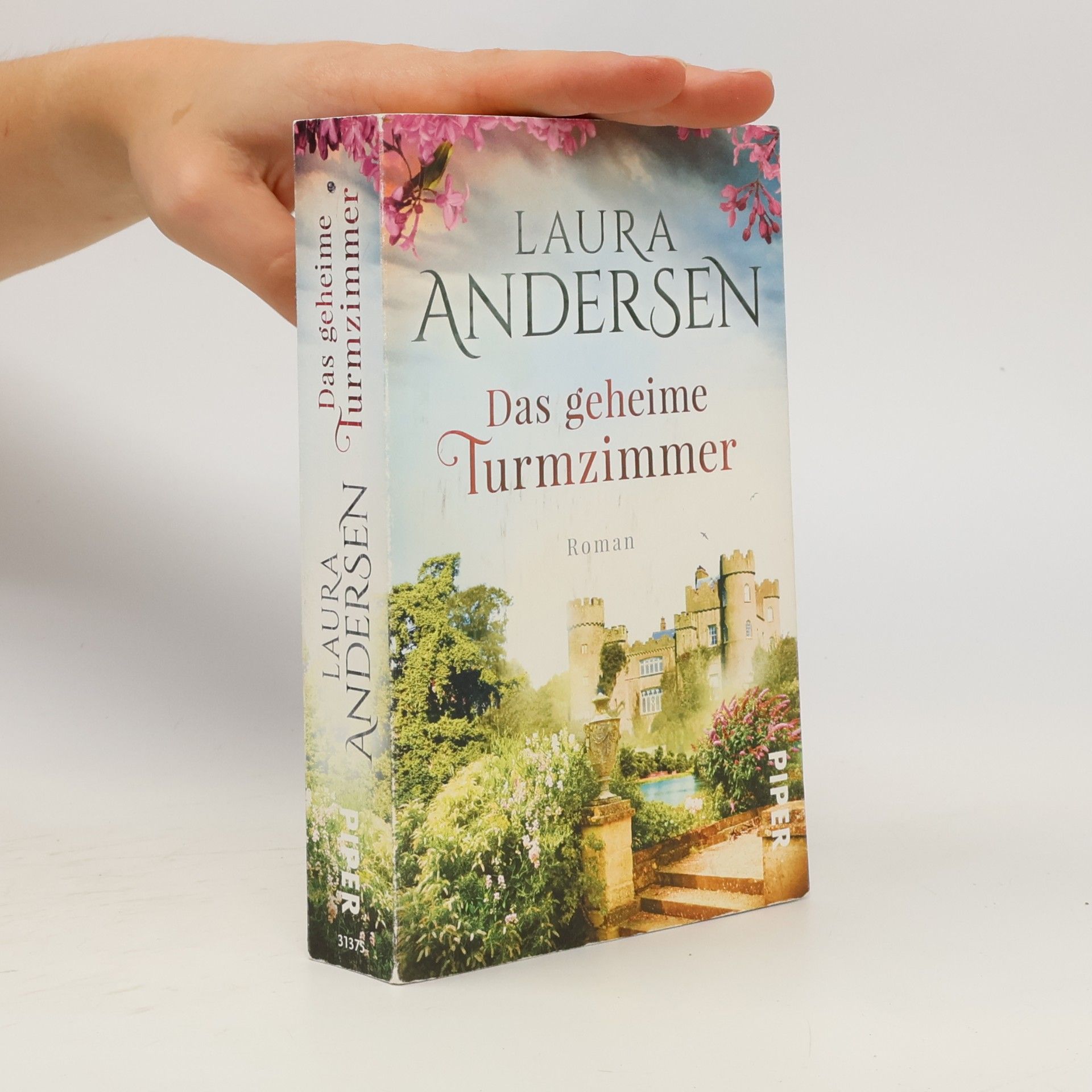 Laura Andersen Das geheime Turmzimmer