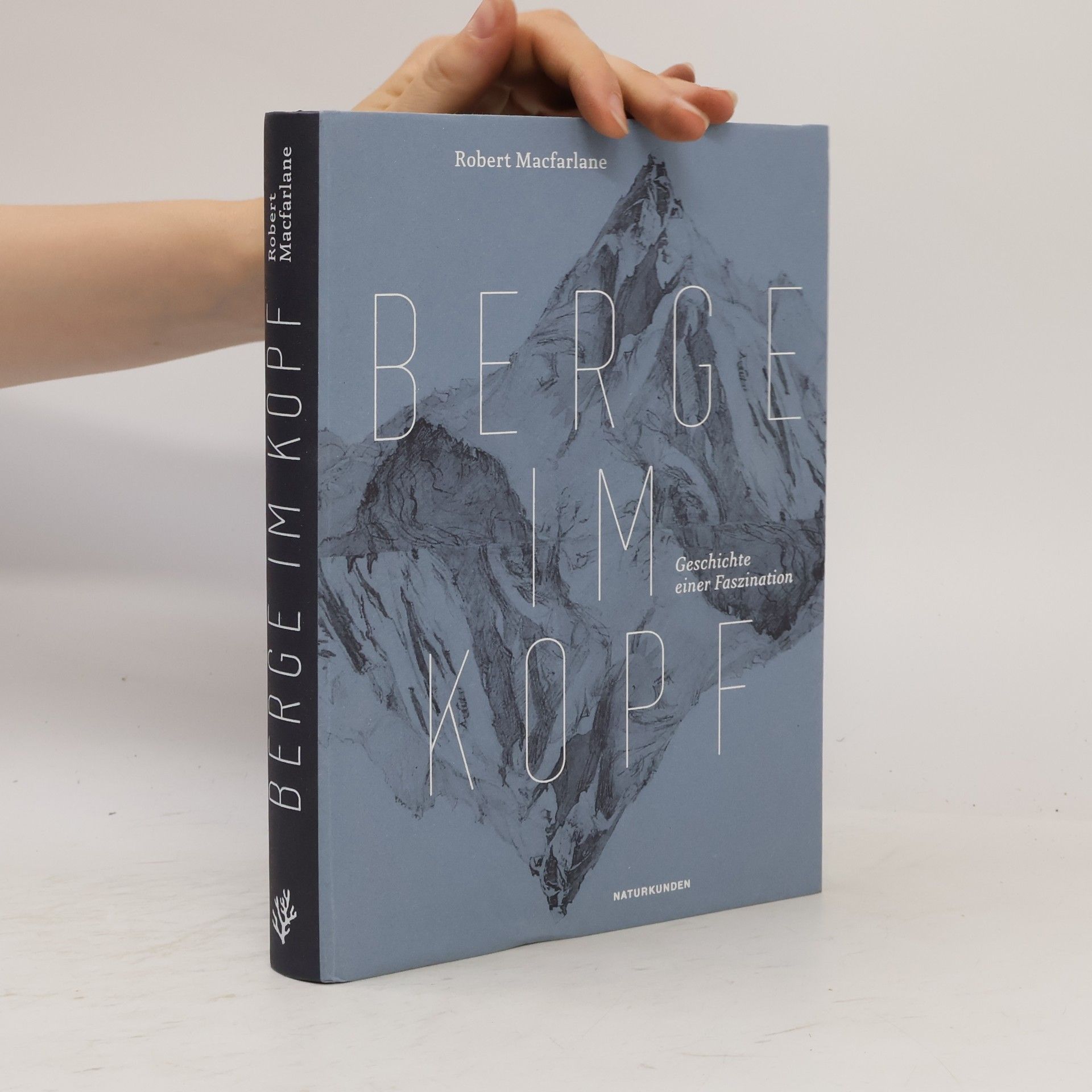 Robert Macfarlane Berge im Kopf