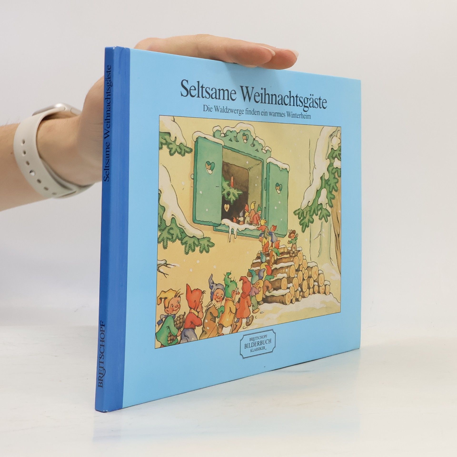 Autorenkollektiv Seltsame Weihnachtsgäste