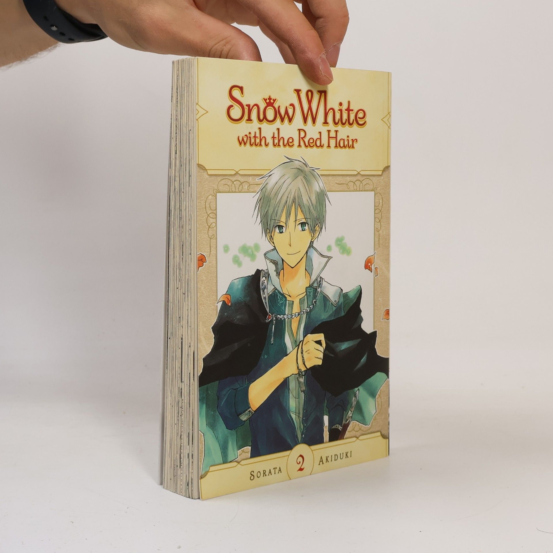 Sorata Akizuki Snow White with the Red Hair 2