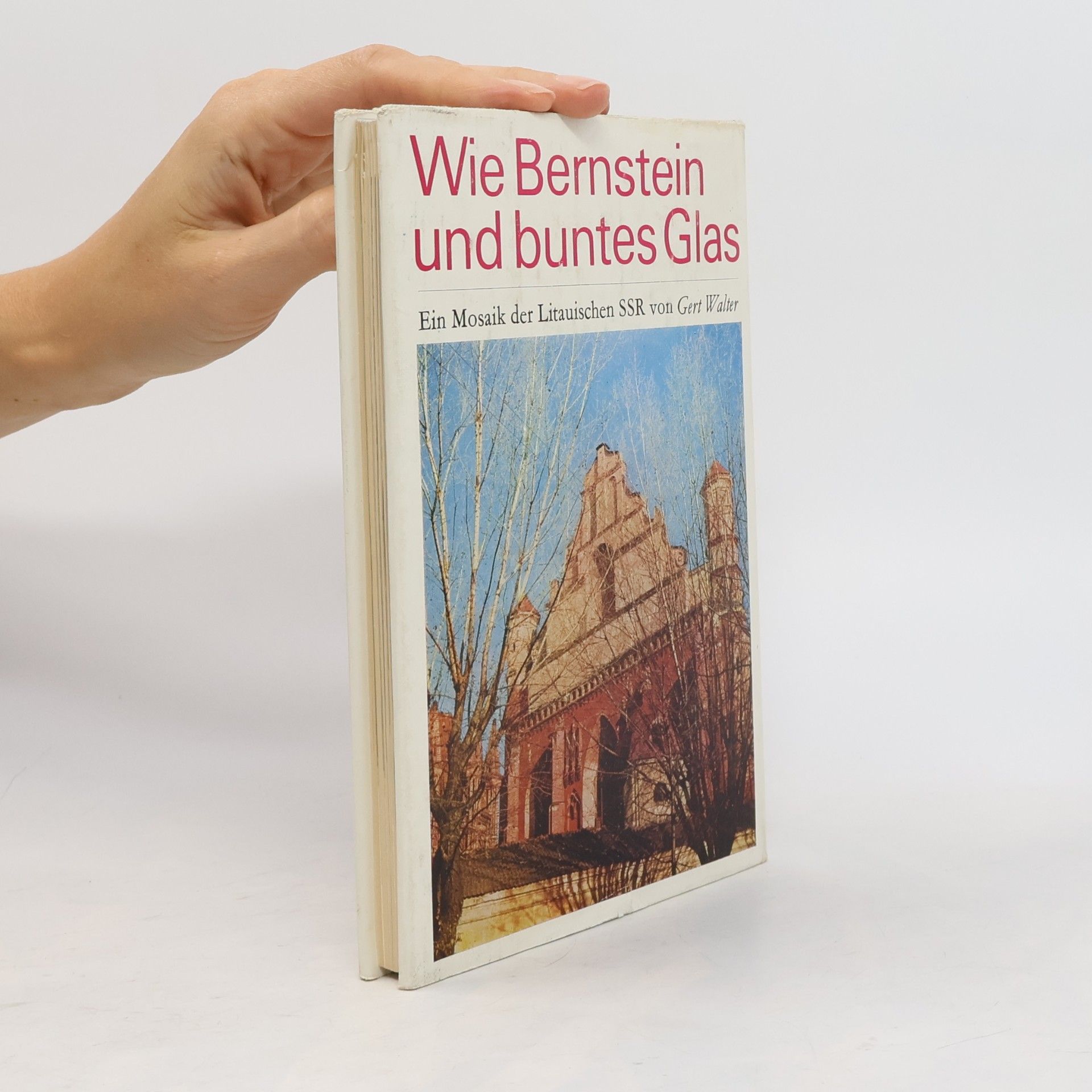 Gert-Walter Speierer Wie Bernstein und buntes Glas