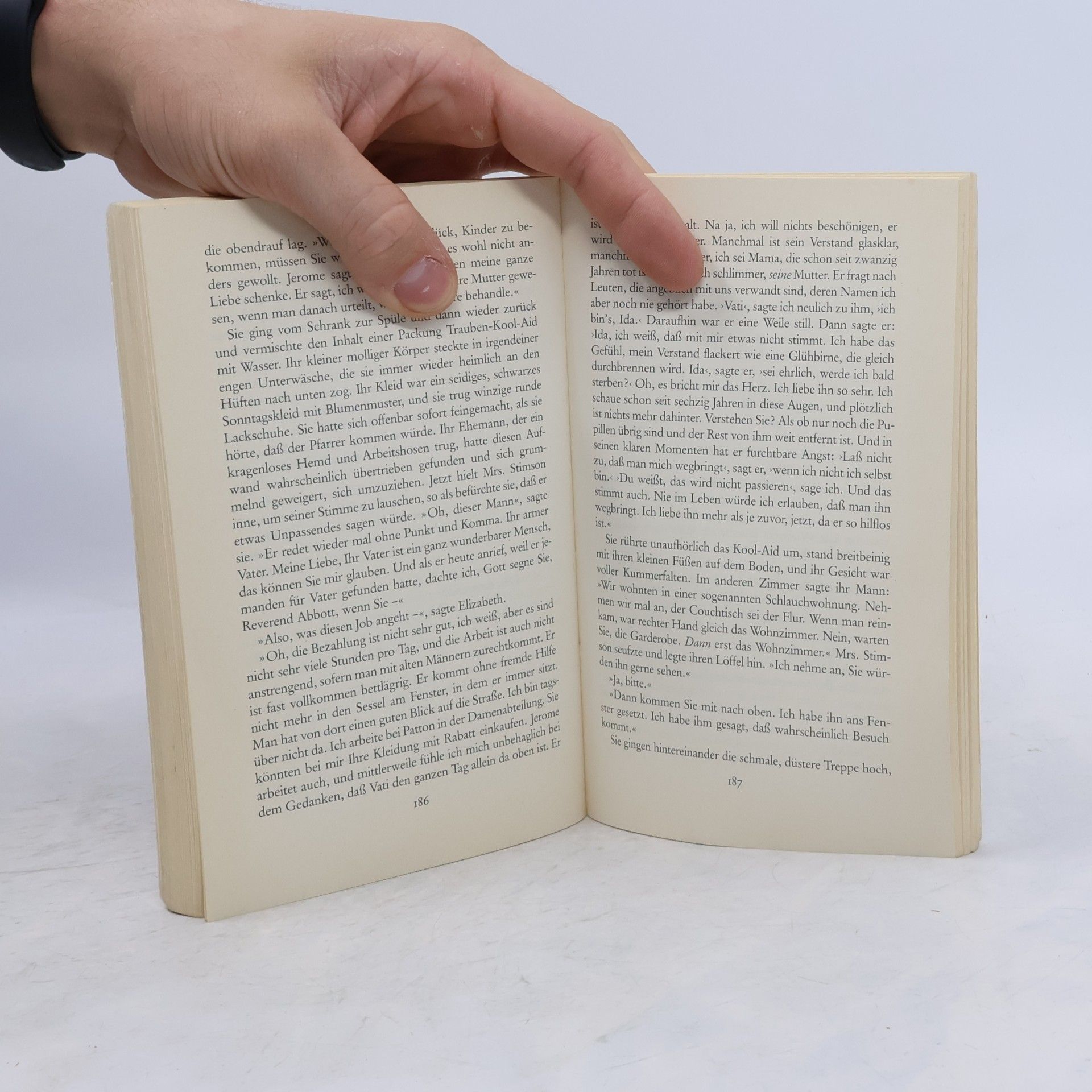 Anne Tyler Mrs. Emersons Hausmeisterin