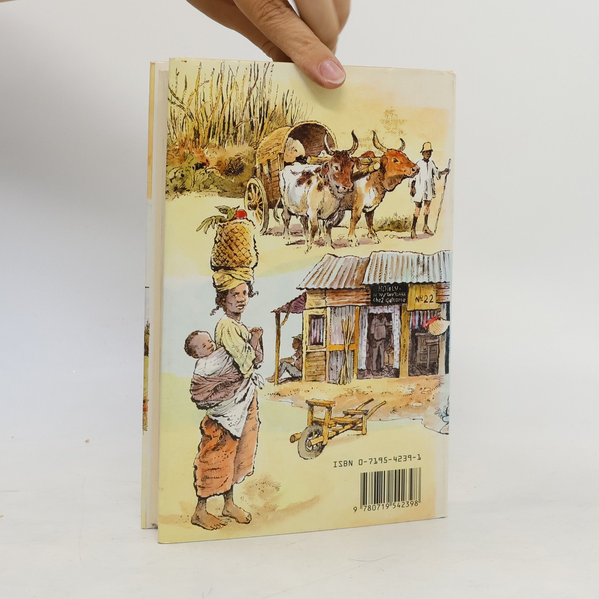 Dervla Murphy Muddling Through in Madagascar