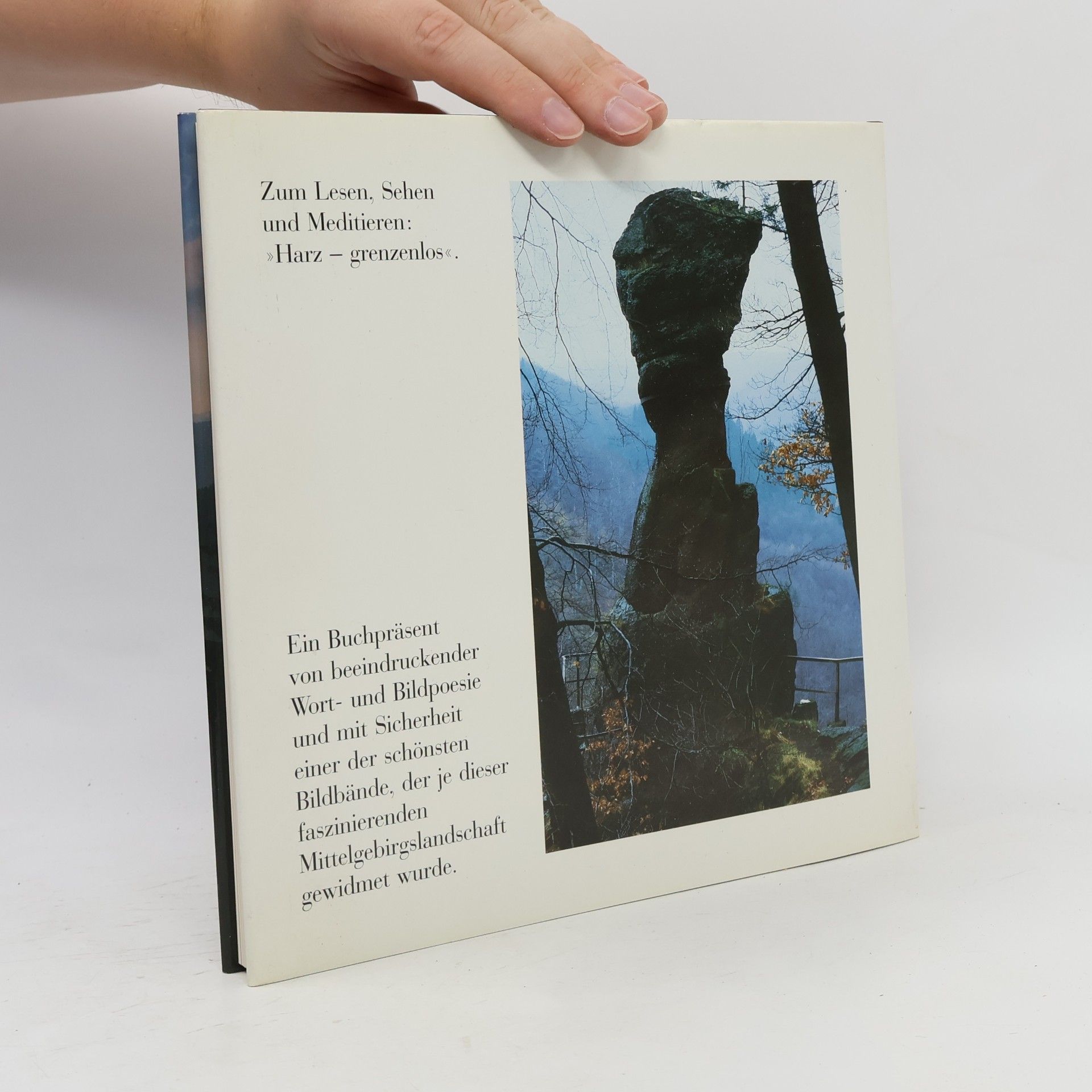 Gerald Grosse Harz grenzenlos