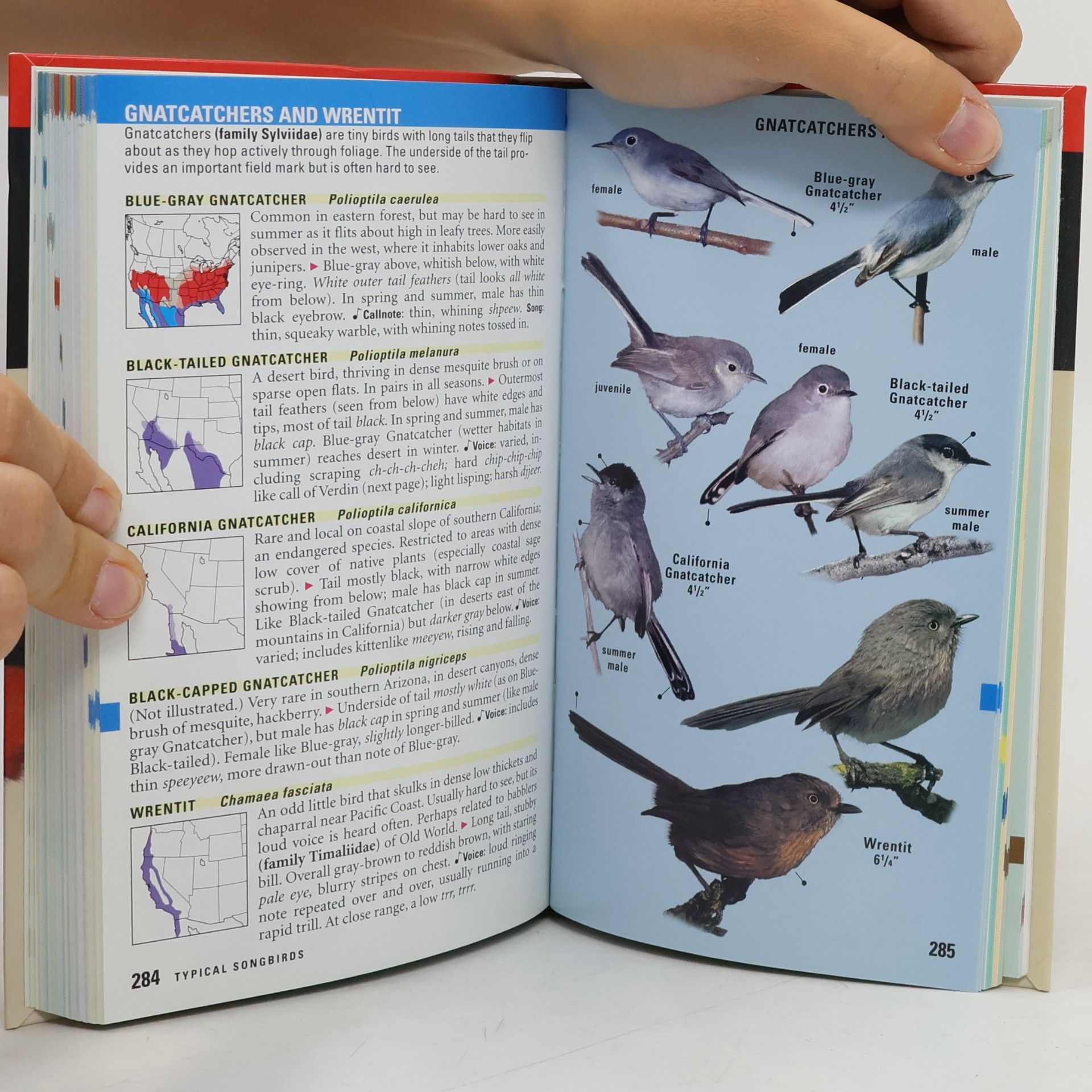 Kenn Kaufman Birds of North America