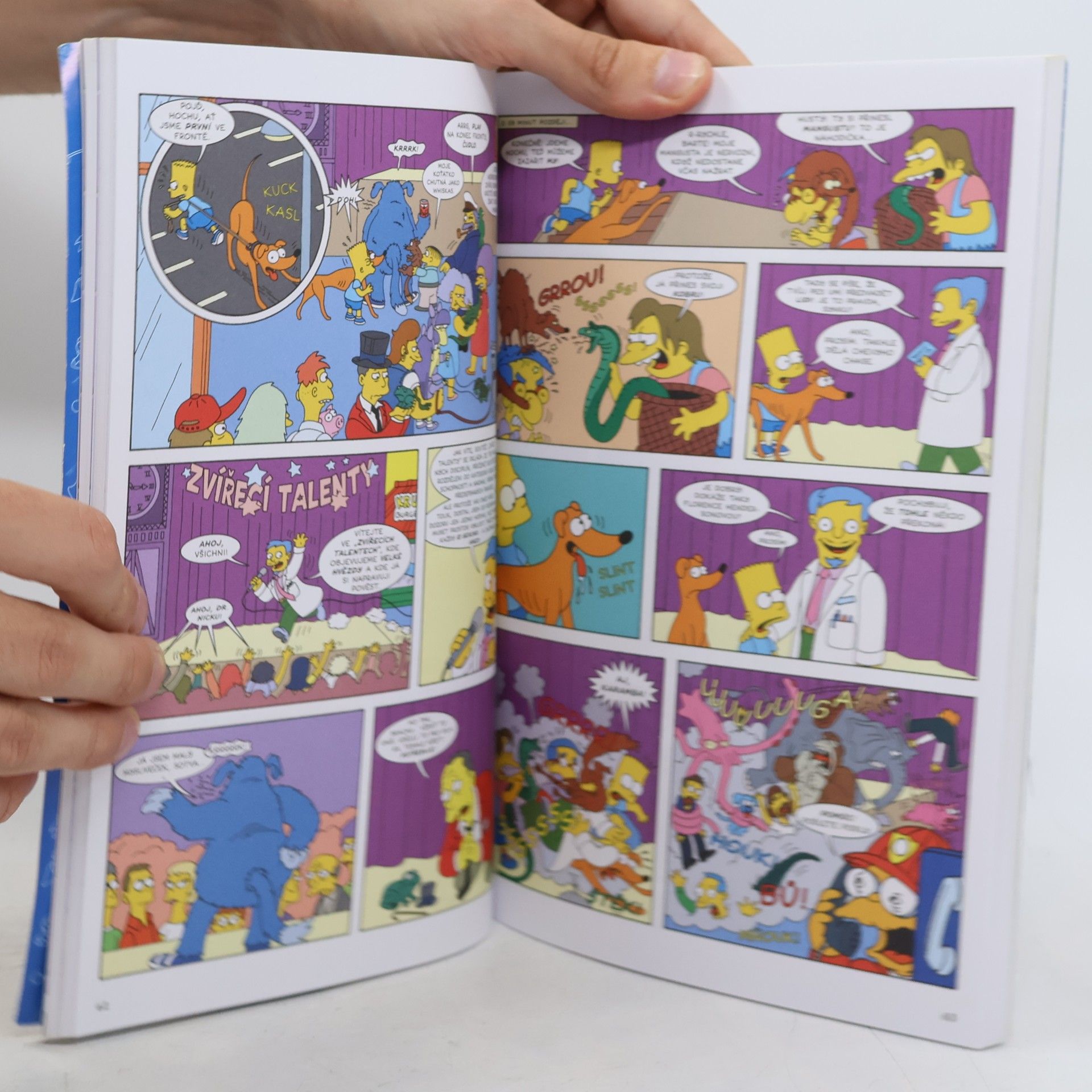 Matt Groening Simpsonovi, Komiksové šílenství
