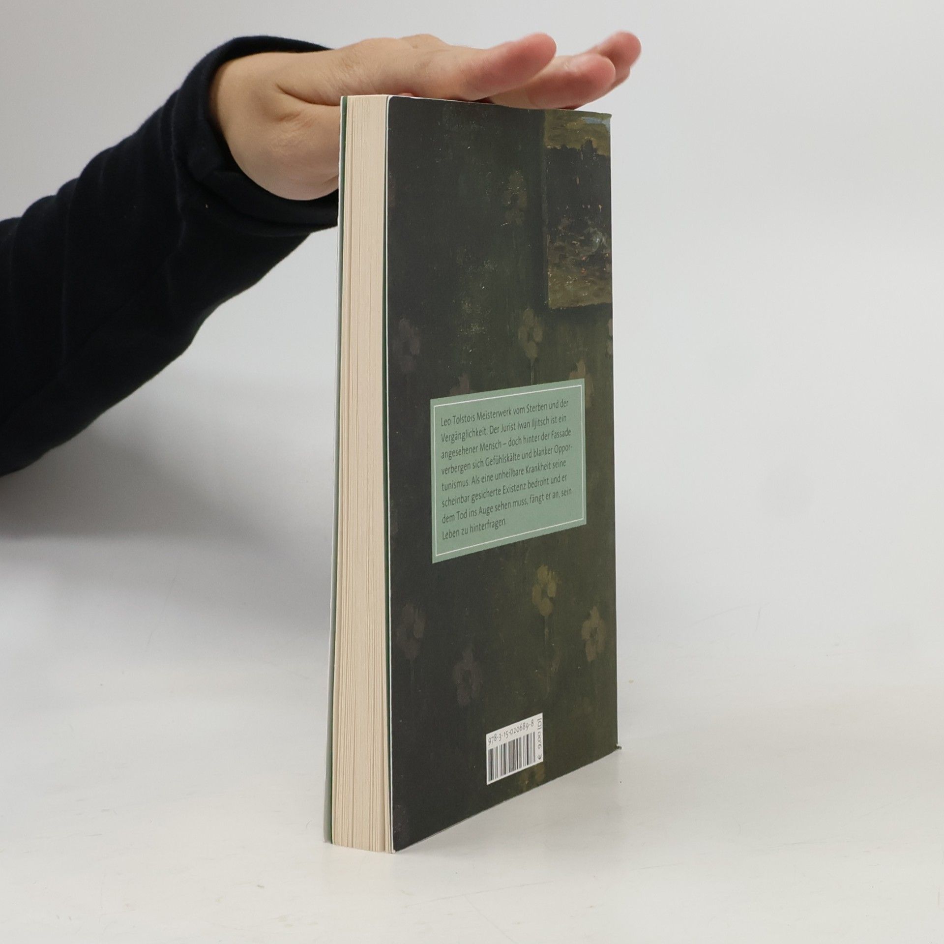 Lew Nikolajewitsch Tolstoi Der Tod des Iwan Iljitsch