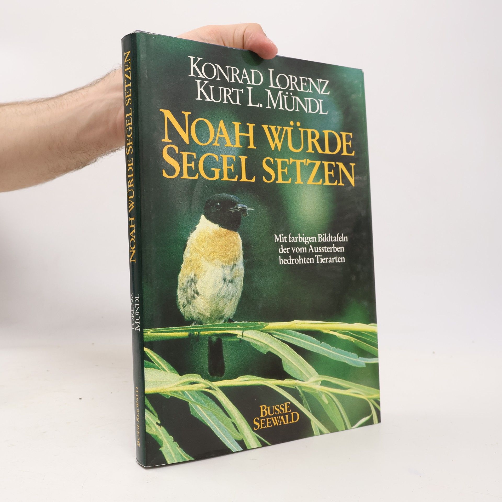 Konrad Lorenz Noah würde Segel setzen