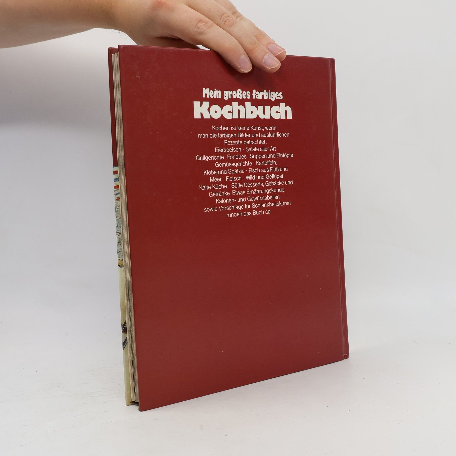 Katrin Gerlach Mein großes farbiges Kochbuch