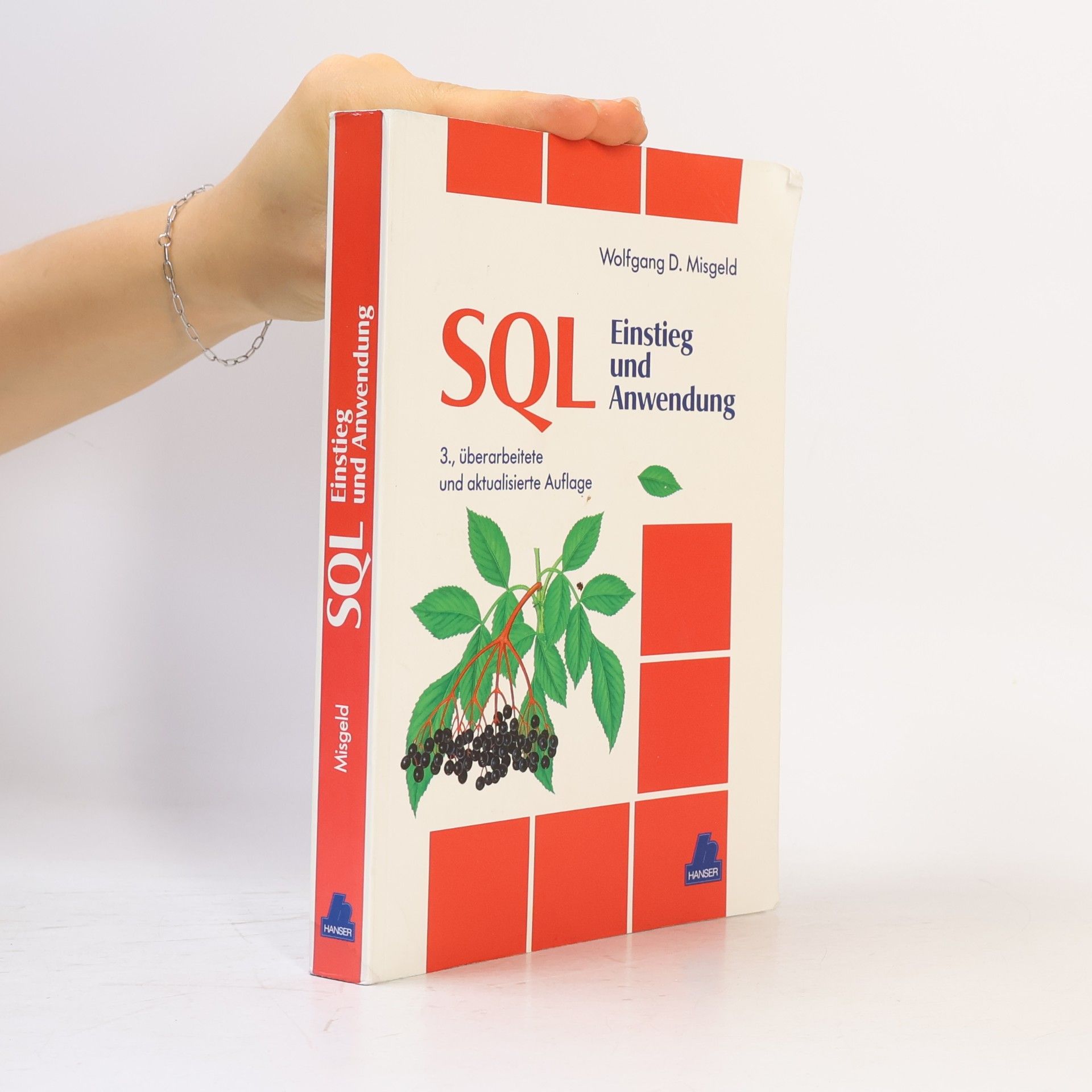 Wolfgang D. Misgeld SQL