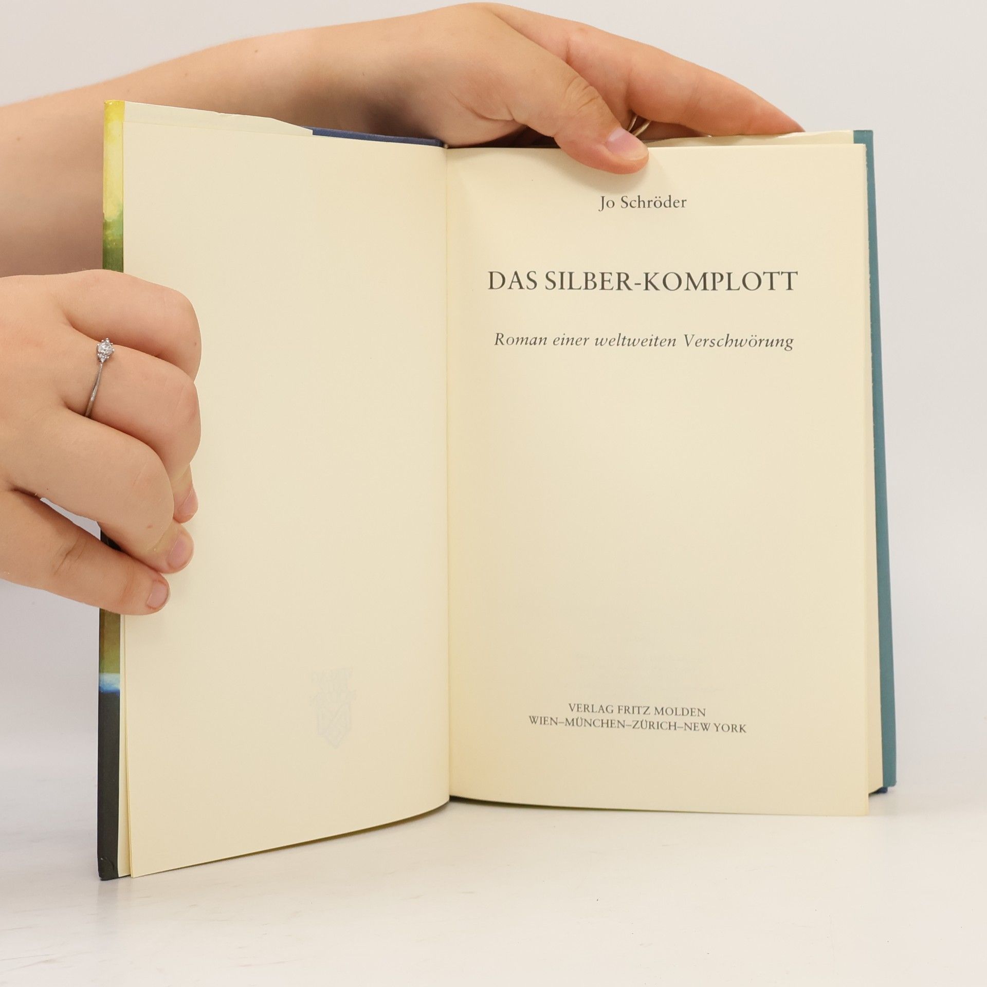 Jo Schröder Das Silber-Komplott