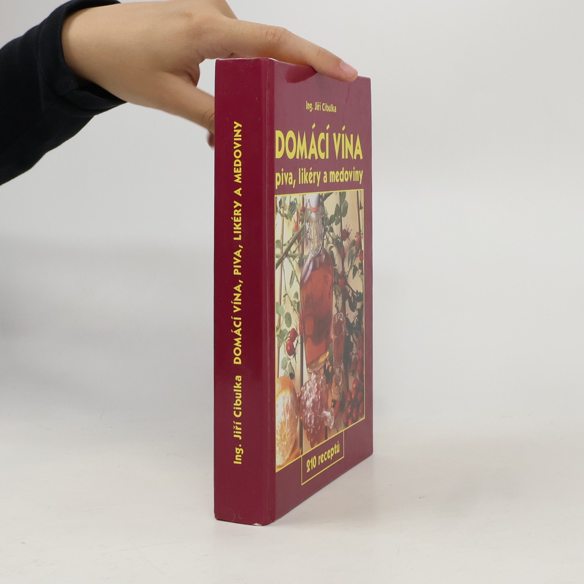 Jiří Cibulka Domácí vína: Piva, likéry a medoviny
