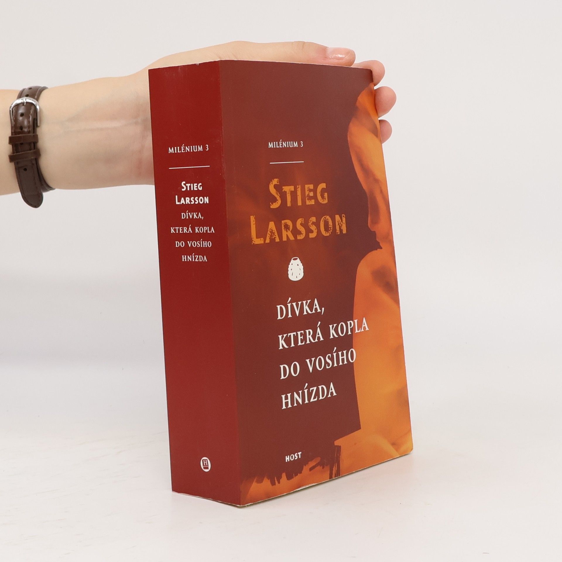 Stieg Larsson Dívka, která kopla do vosího hnízda