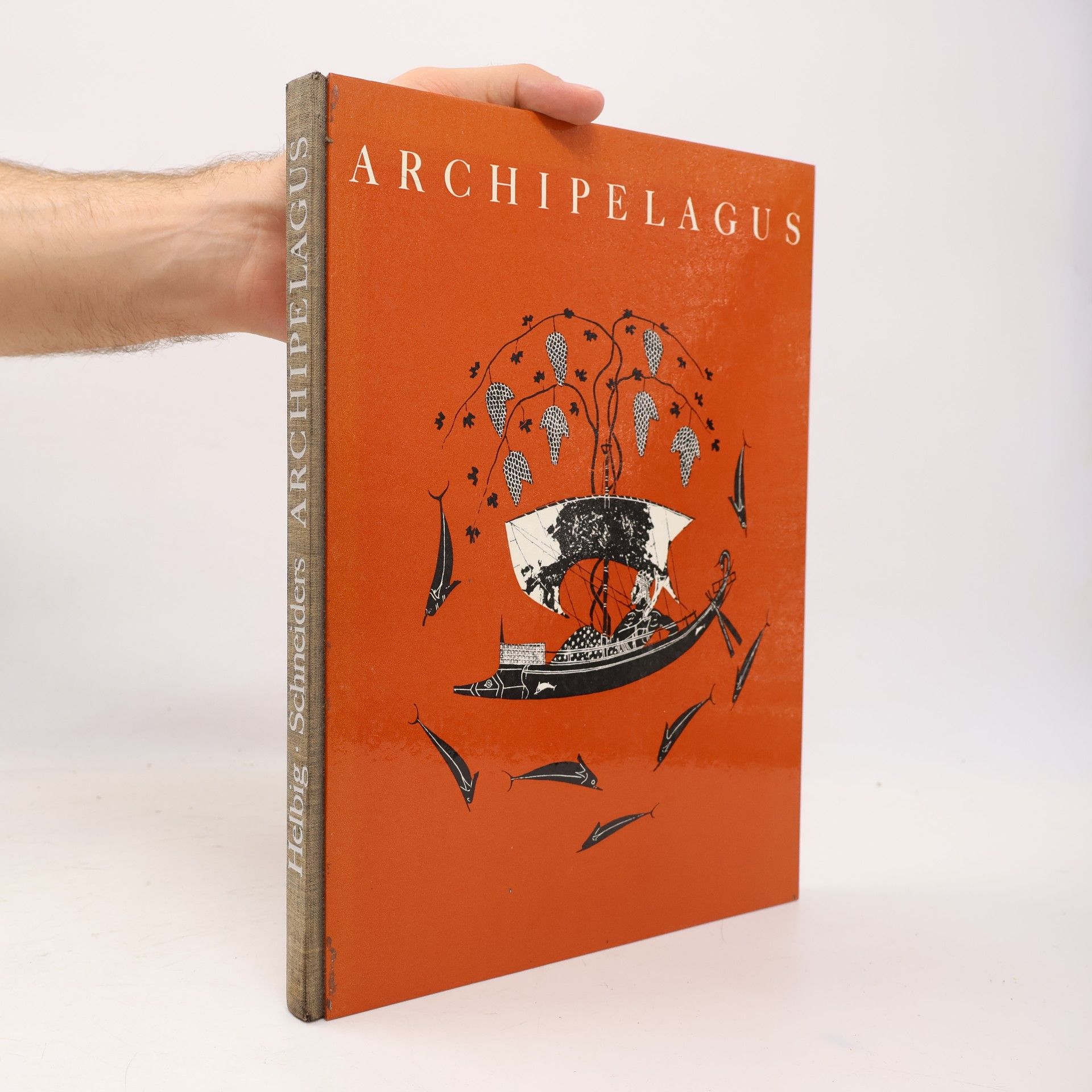 Archipelagus